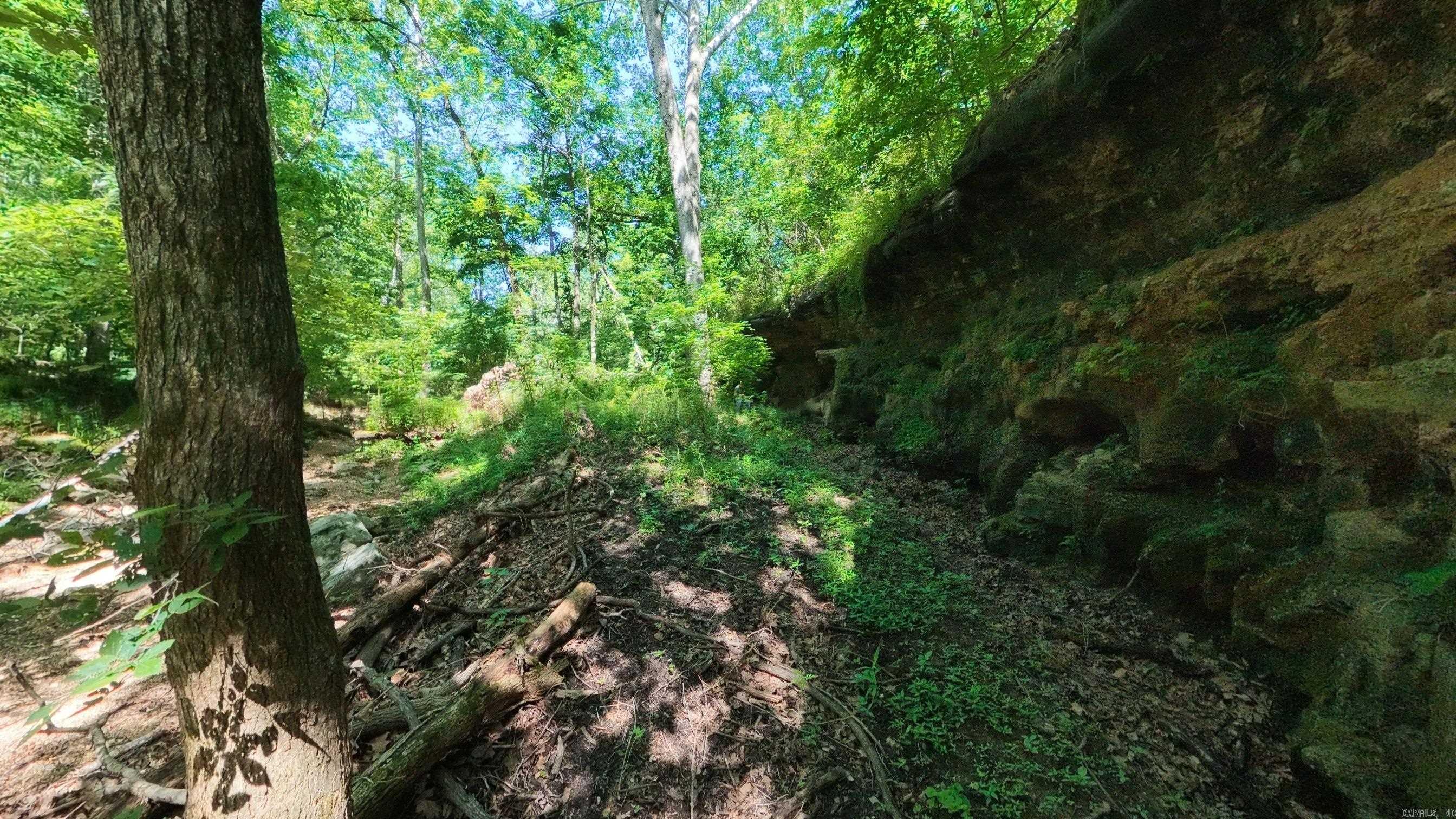000 Private Road 5212  Willow Springs, MO