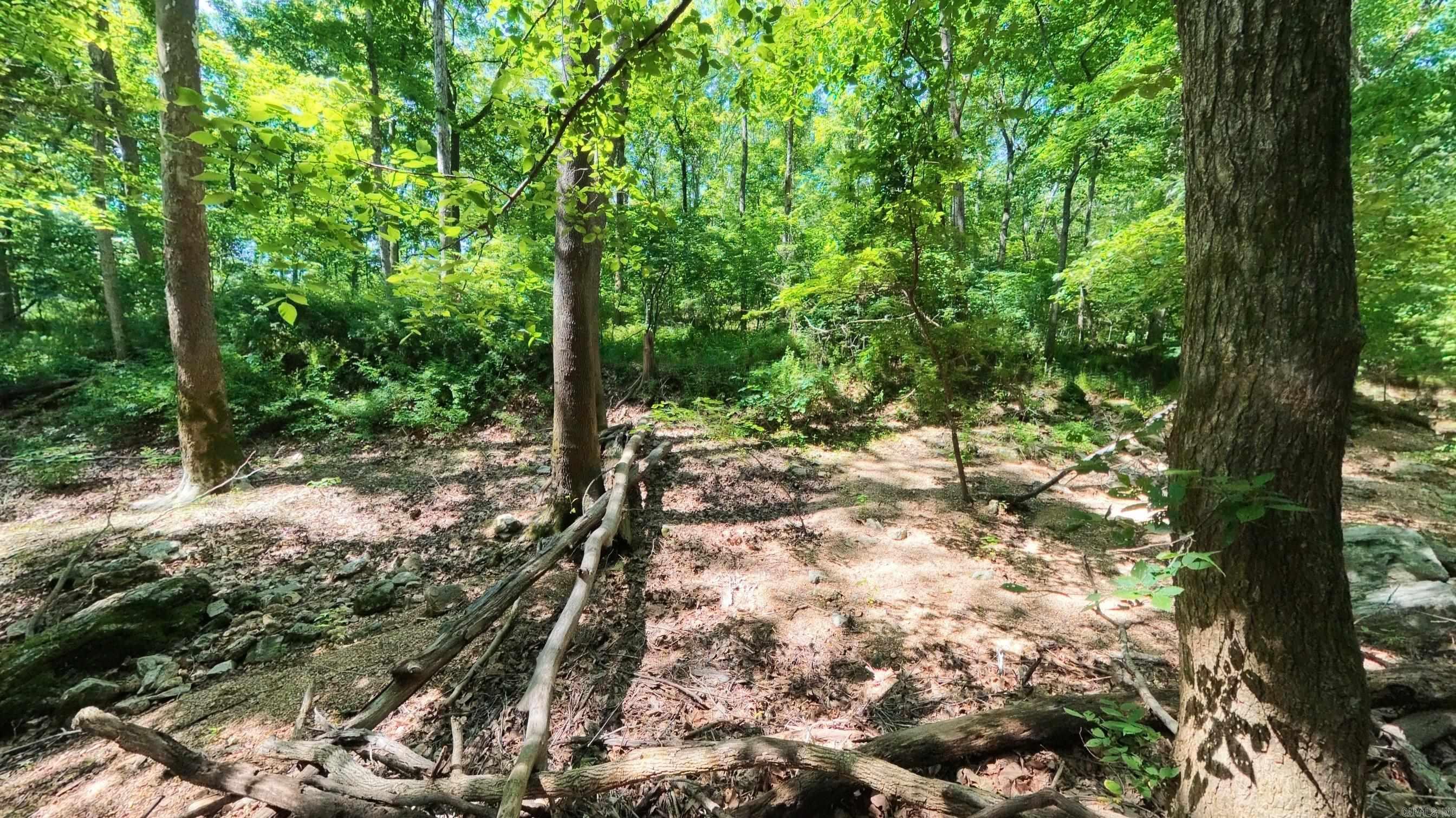 000 Private Road 5212  Willow Springs, MO