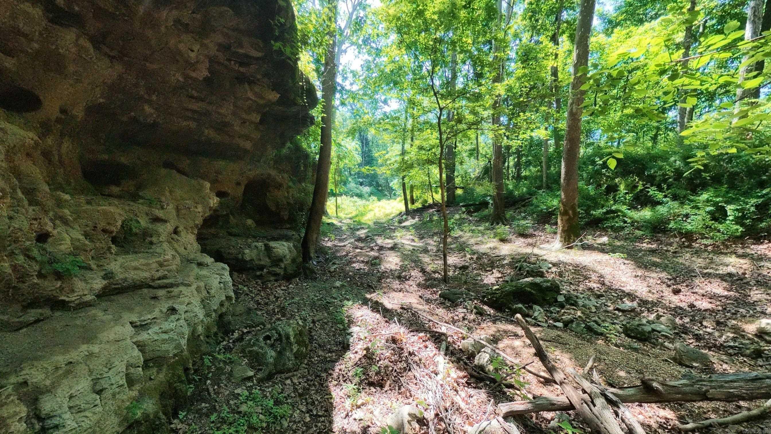 000 Private Road 5212  Willow Springs, MO
