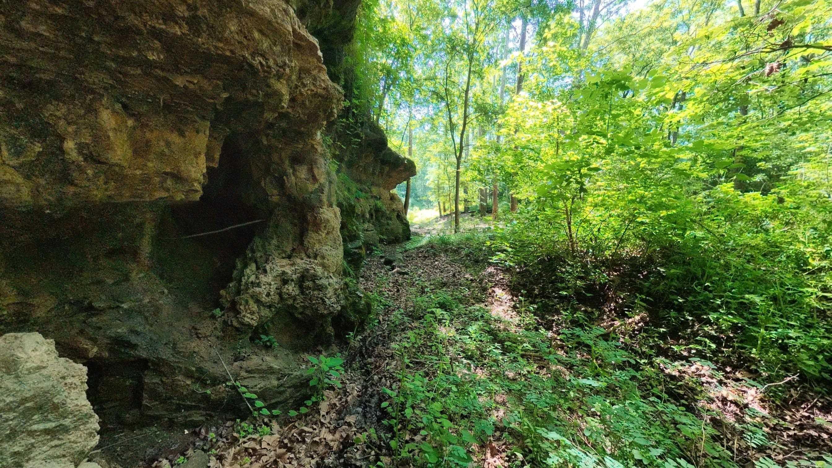 000 Private Road 5212  Willow Springs, MO