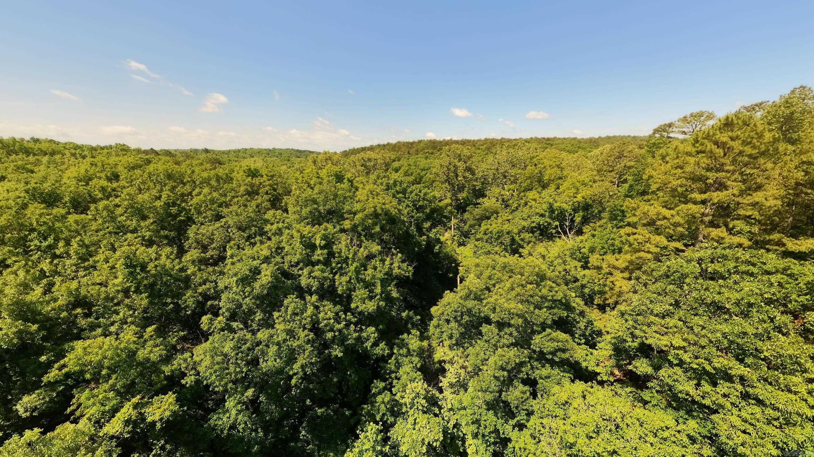 000 Private Road 5212  Willow Springs, MO