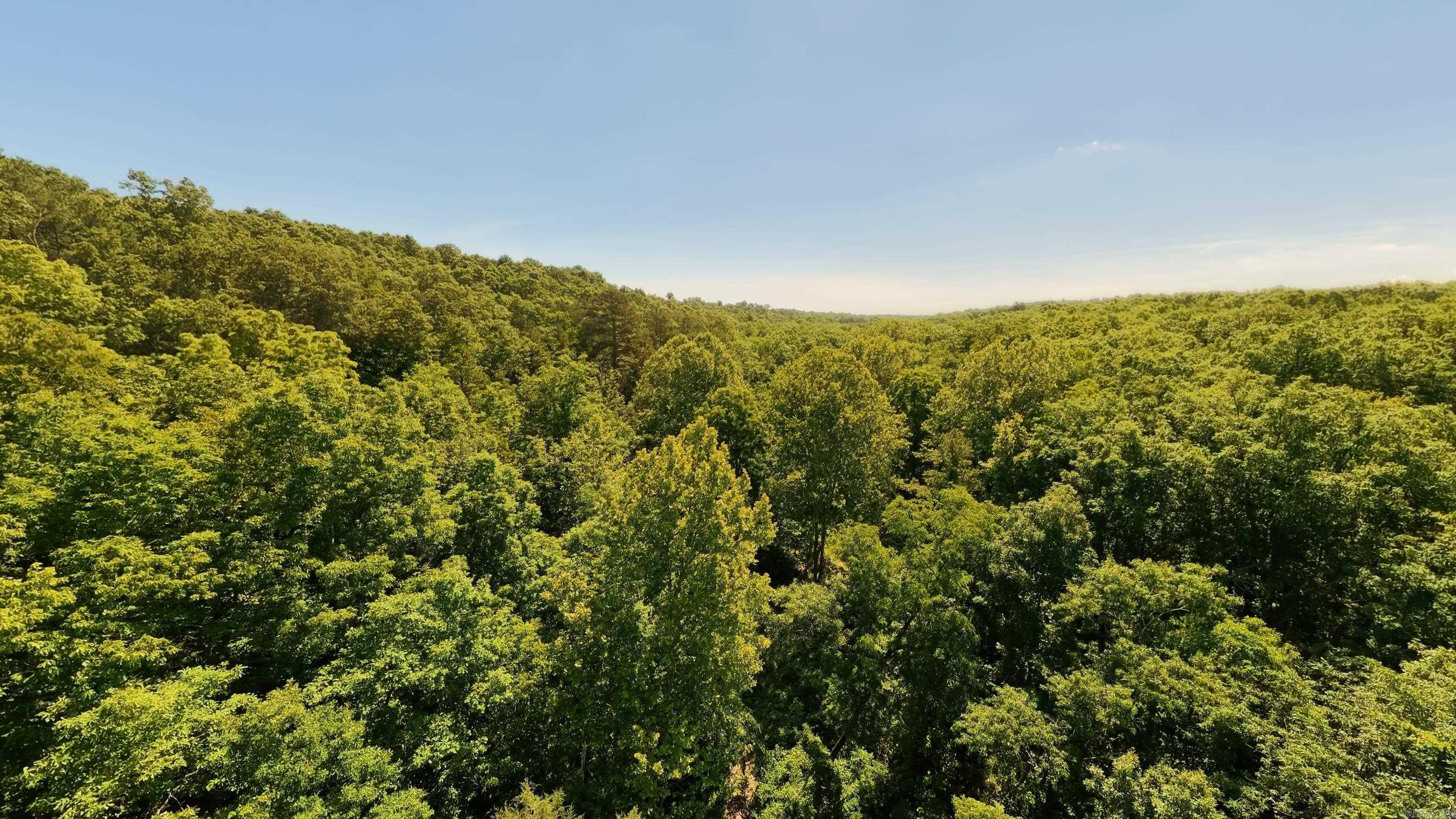 000 Private Road 5212  Willow Springs, MO