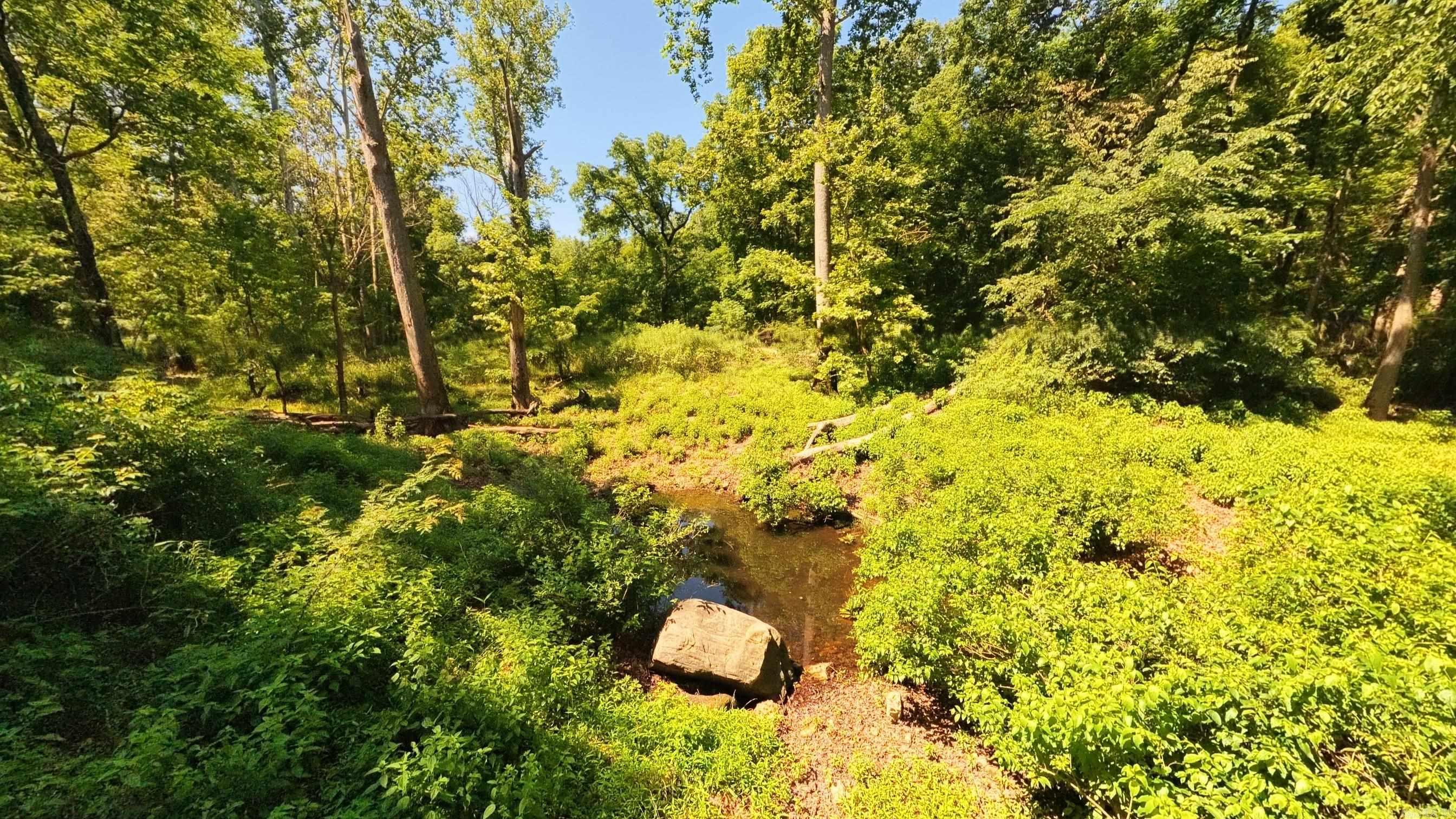 000 Private Road 5212  Willow Springs, MO