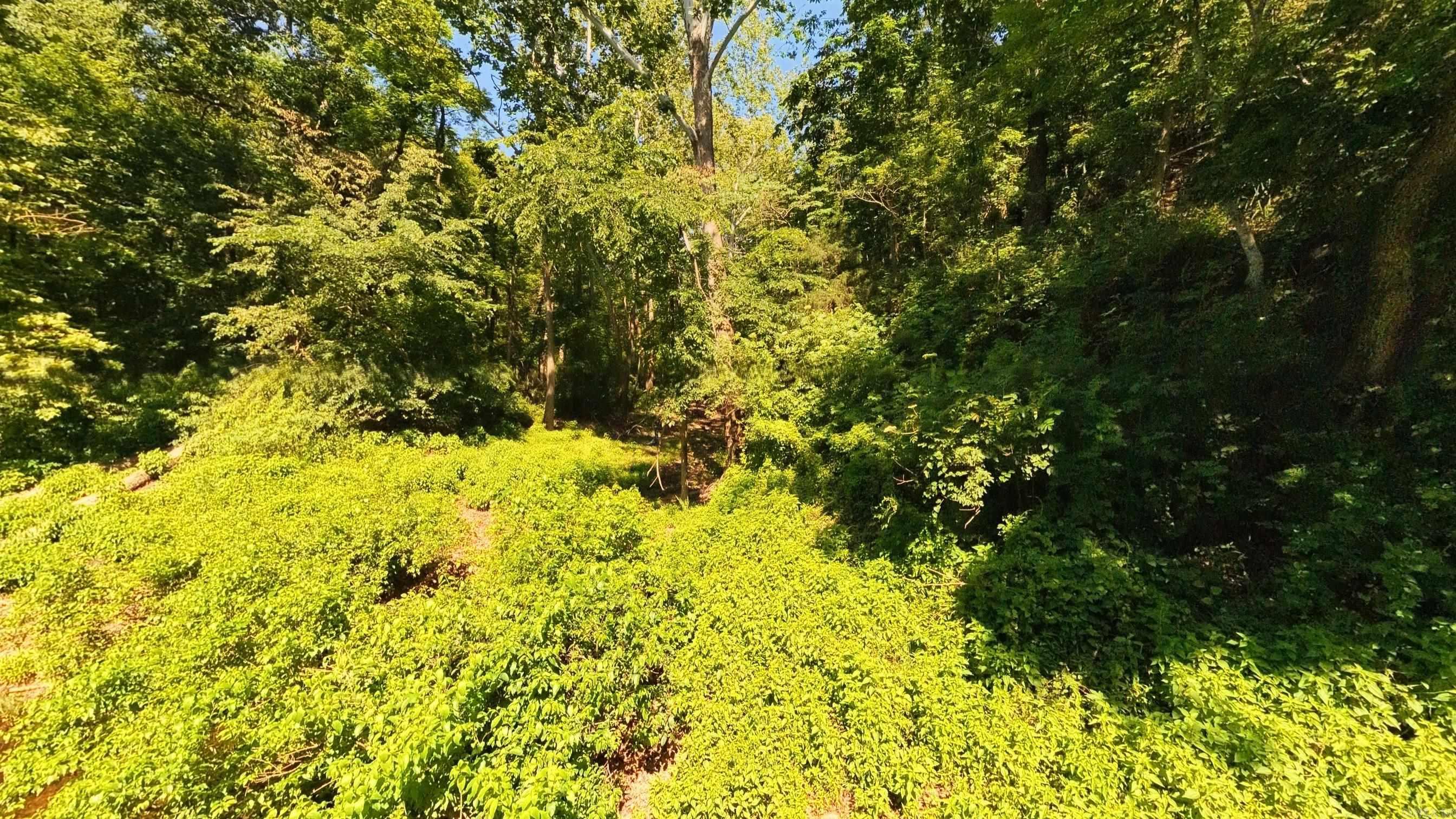 000 Private Road 5212  Willow Springs, MO