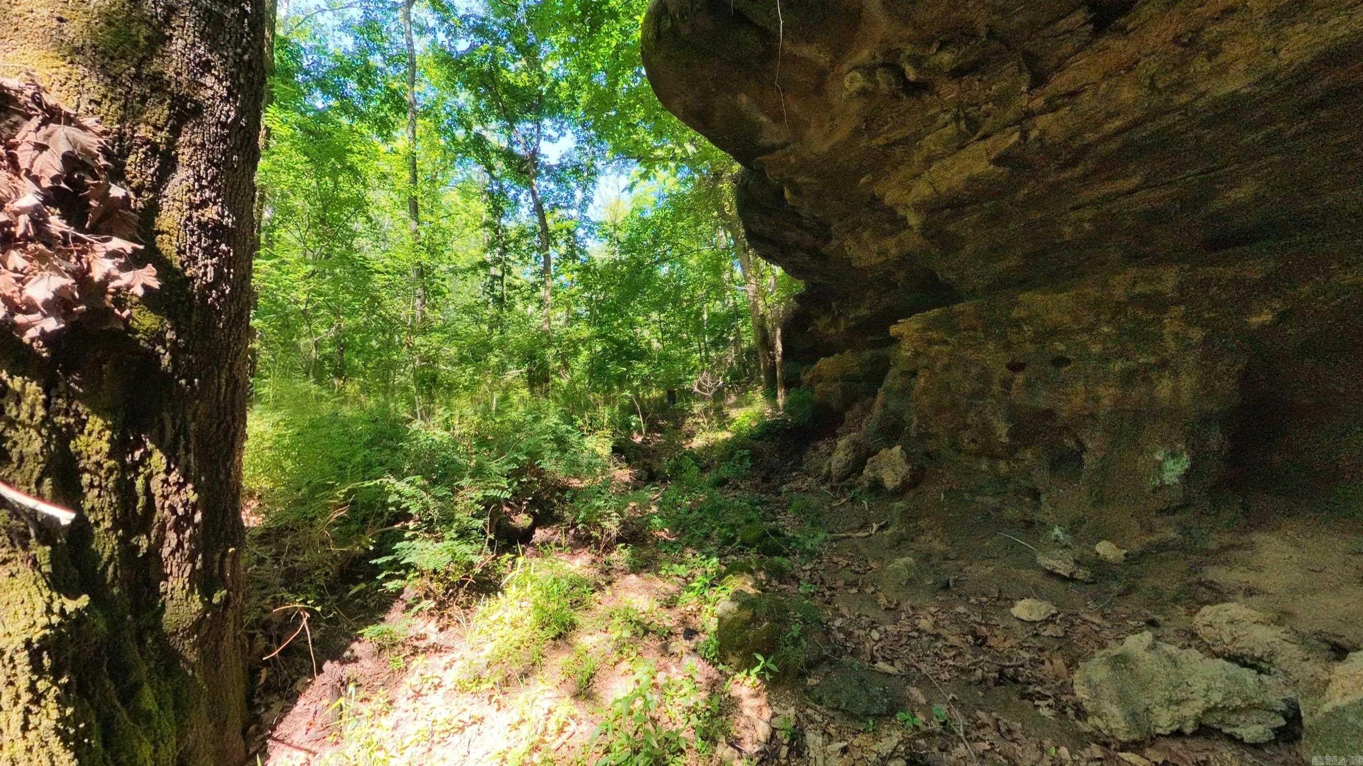 000 Private Road 5212  Willow Springs, MO