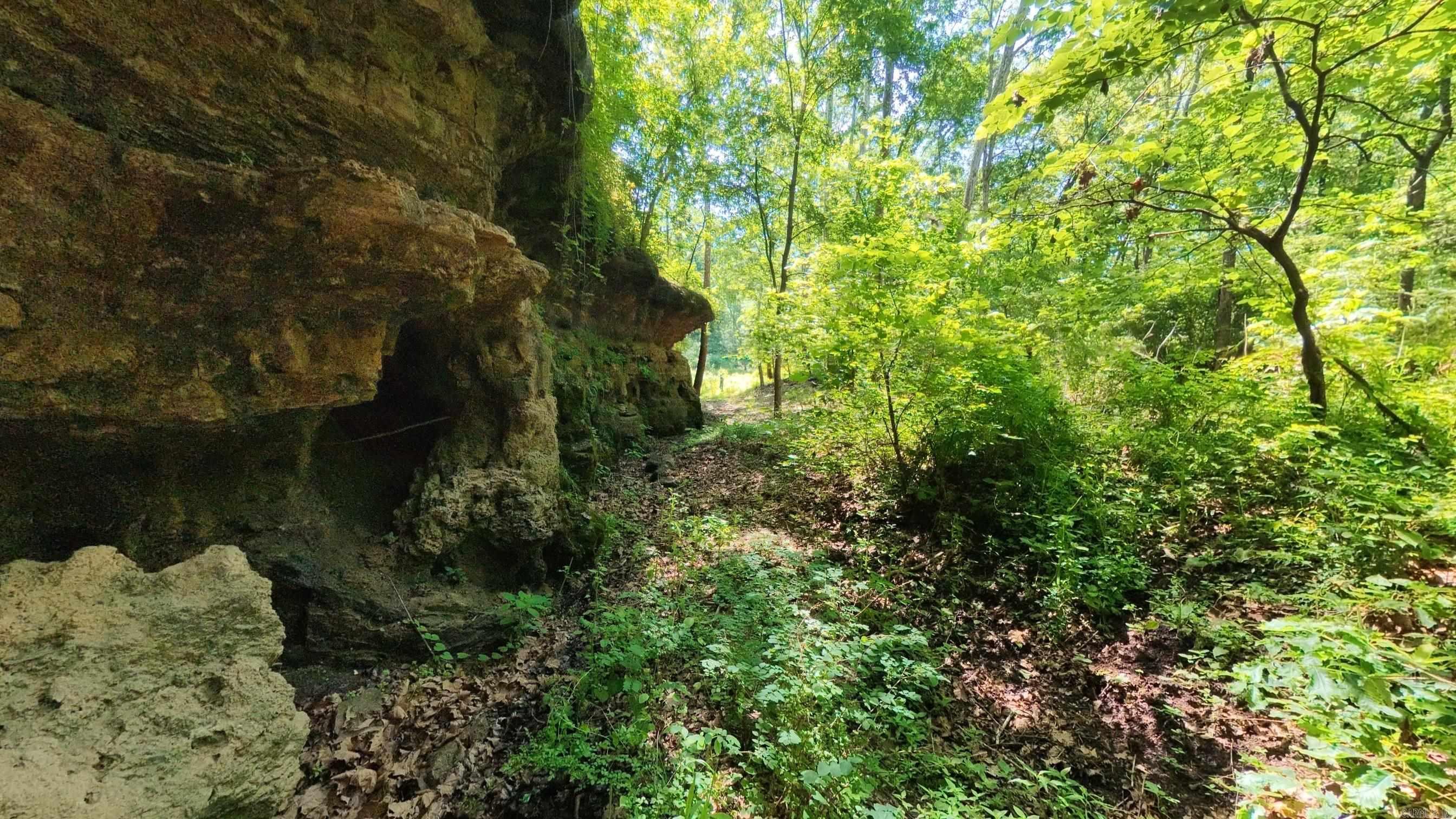 000 Private Road 5212  Willow Springs, MO