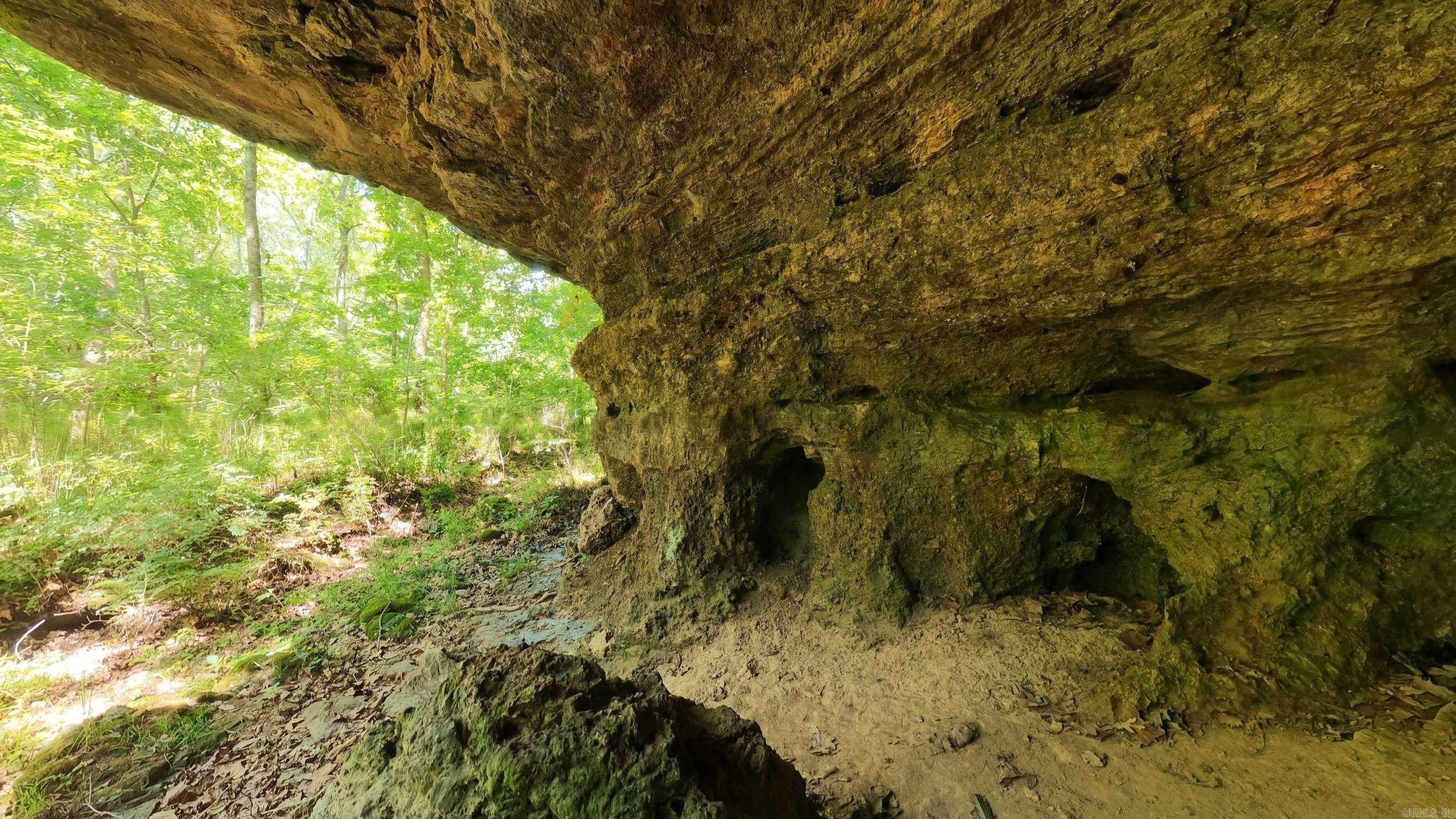 000 Private Road 5212  Willow Springs, MO