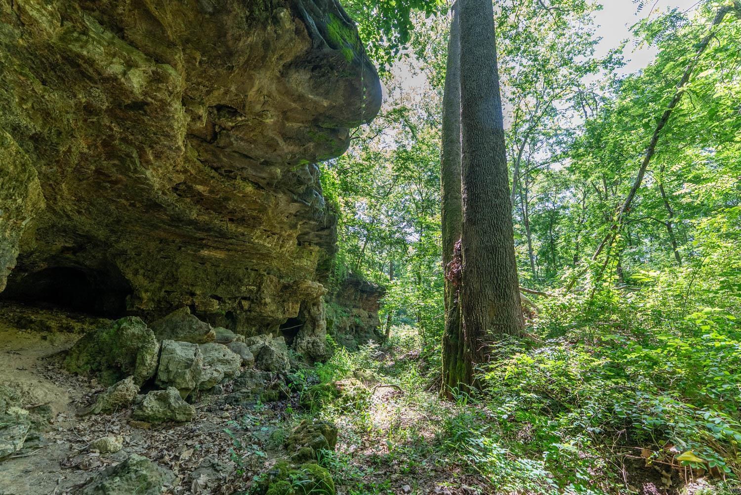 000 Private Road 5212  Willow Springs, MO