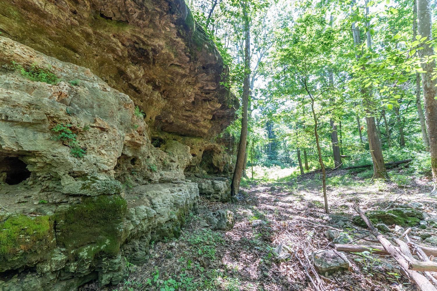 000 Private Road 5212  Willow Springs, MO