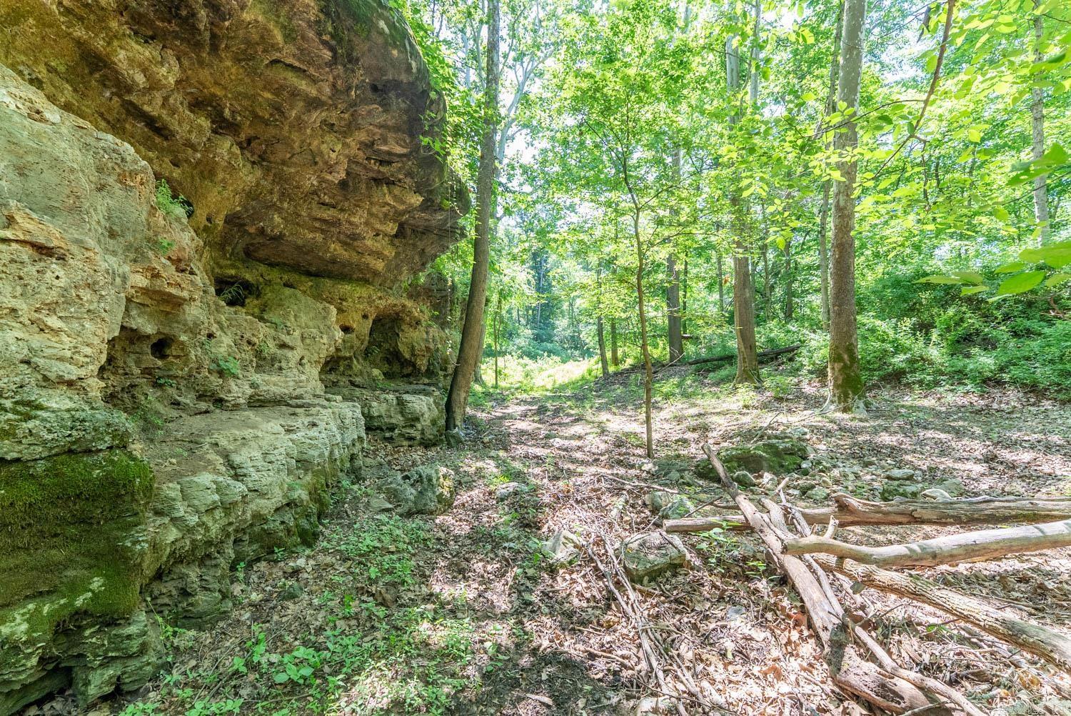 000 Private Road 5212  Willow Springs, MO