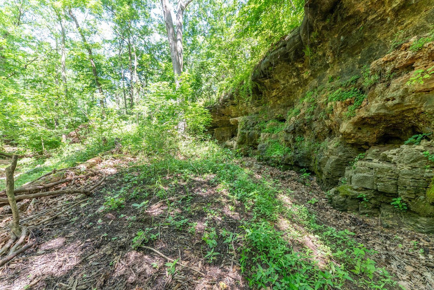 000 Private Road 5212  Willow Springs, MO