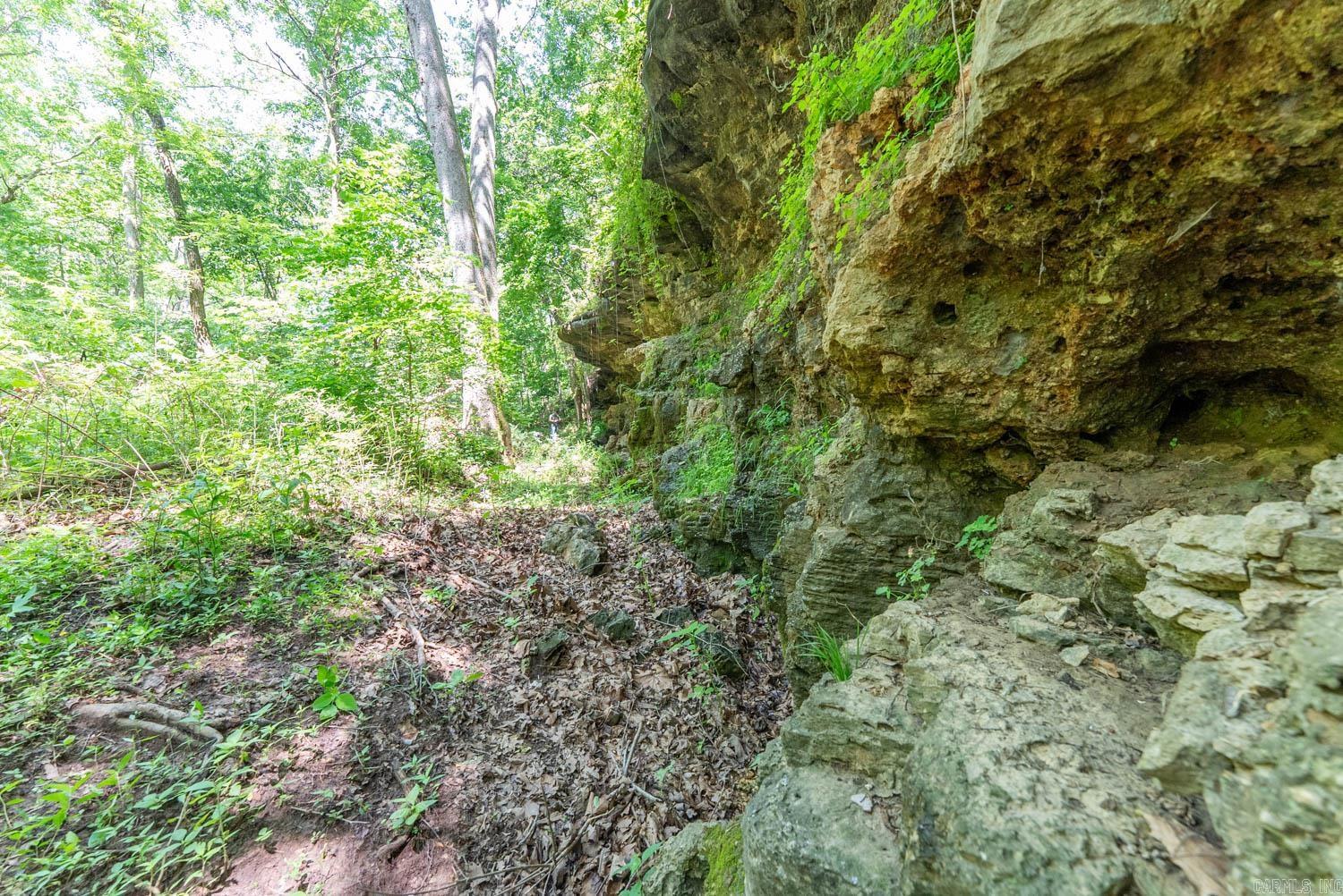 000 Private Road 5212  Willow Springs, MO