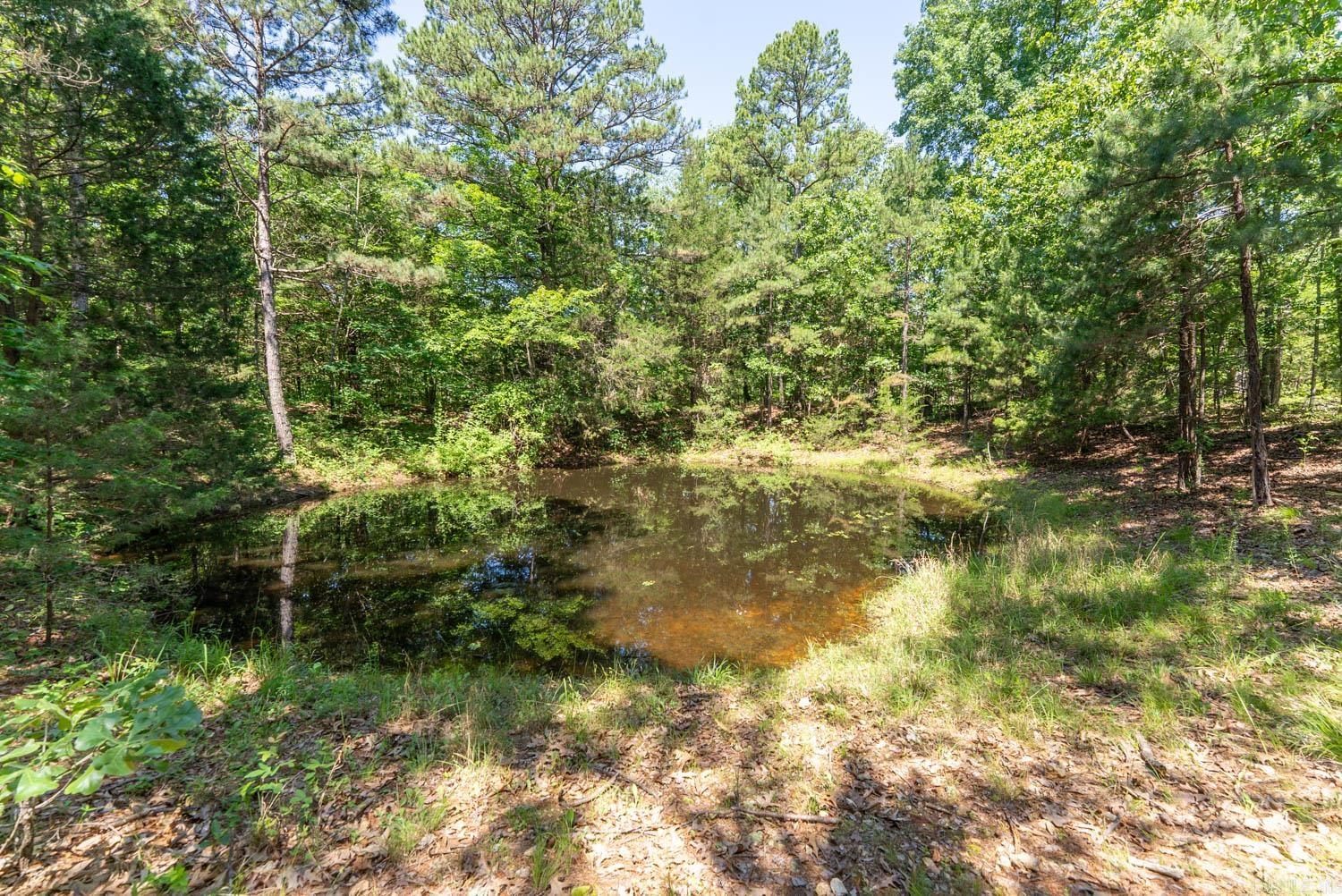 000 Private Road 5212  Willow Springs, MO