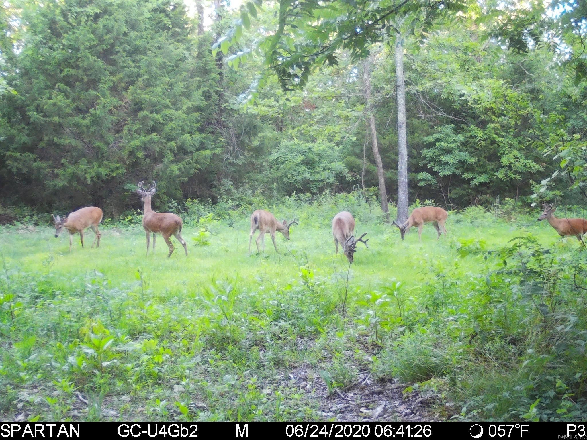 000 Private Road 5212  Willow Springs, MO