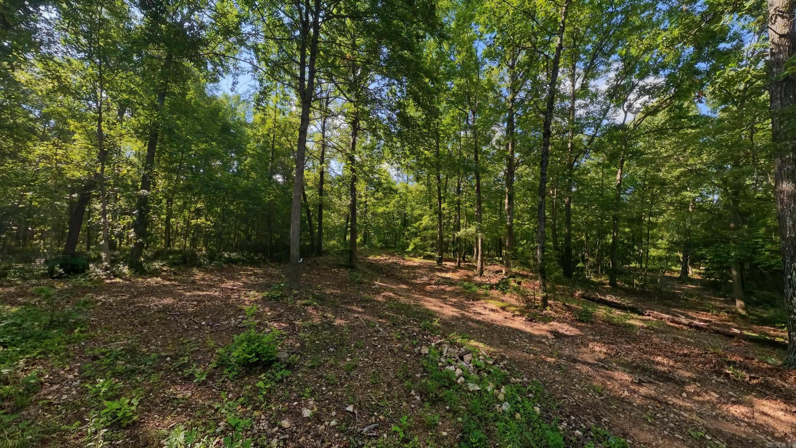000 Private Road 5212  Willow Springs, MO