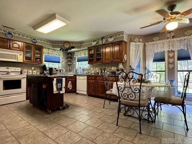 1410 Spinnenwebber  Pocahontas, AR