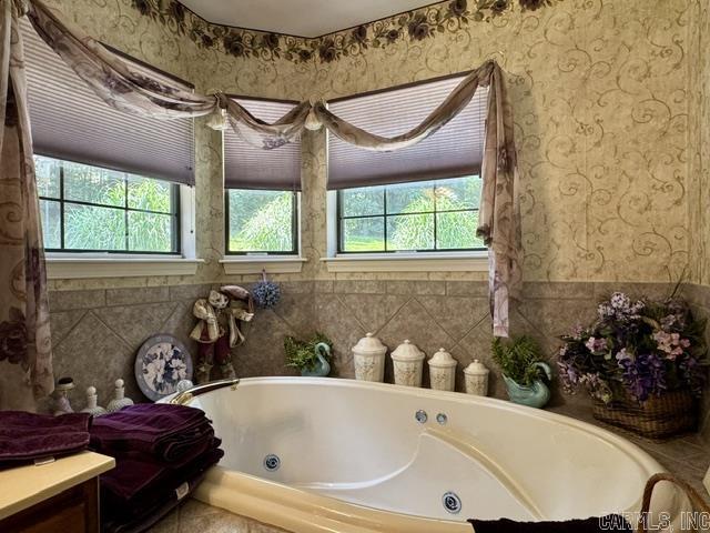 1410 Spinnenwebber  Pocahontas, AR