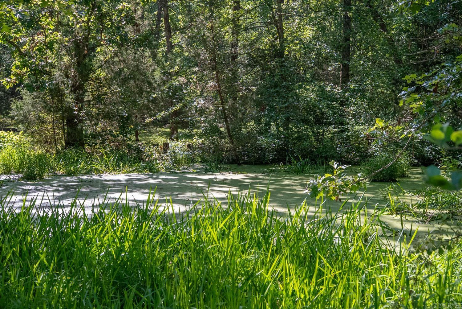 5344 Private Road 5212  Willow Springs, MO