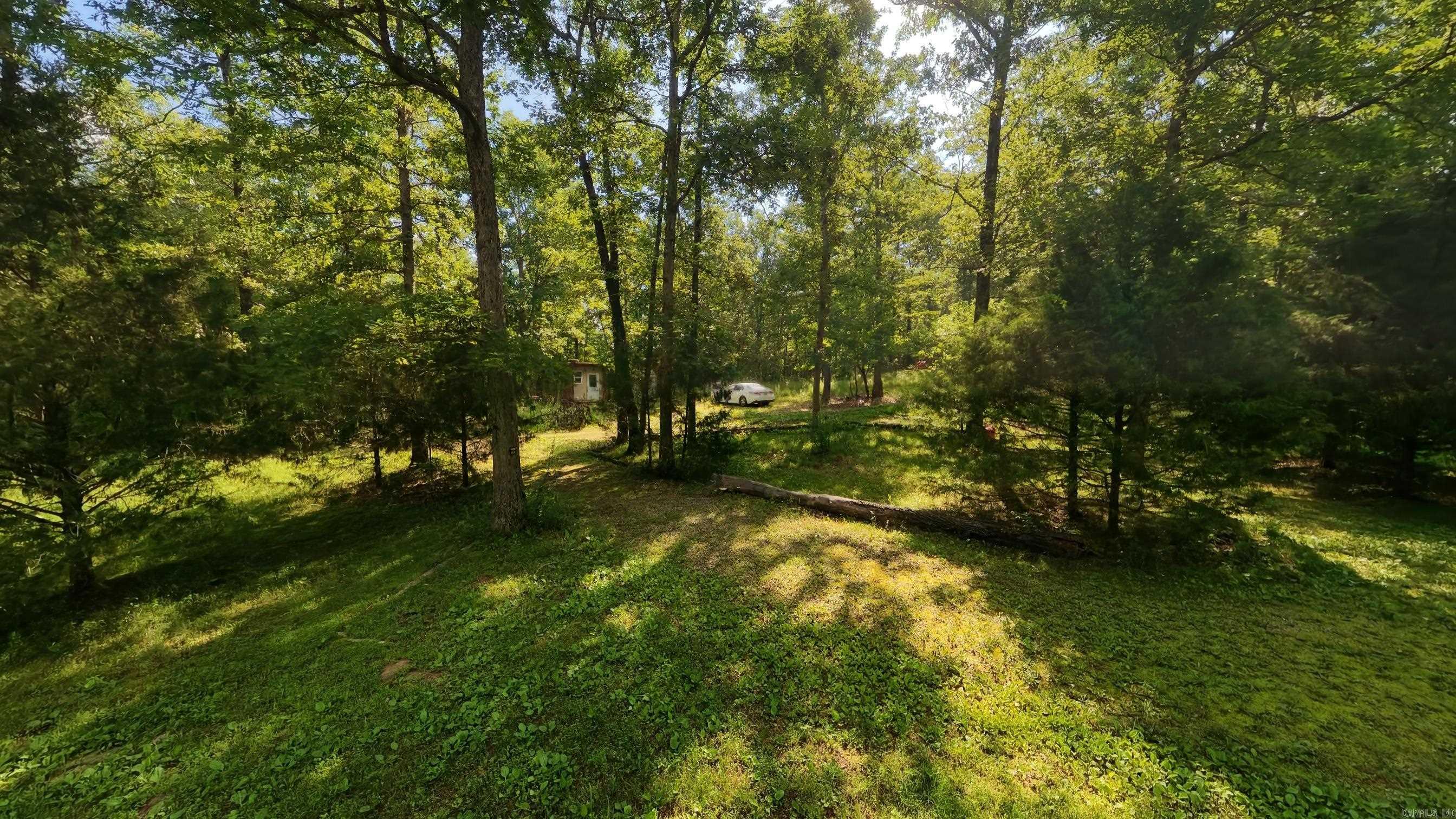 5344 Private Road 5212  Willow Springs, MO