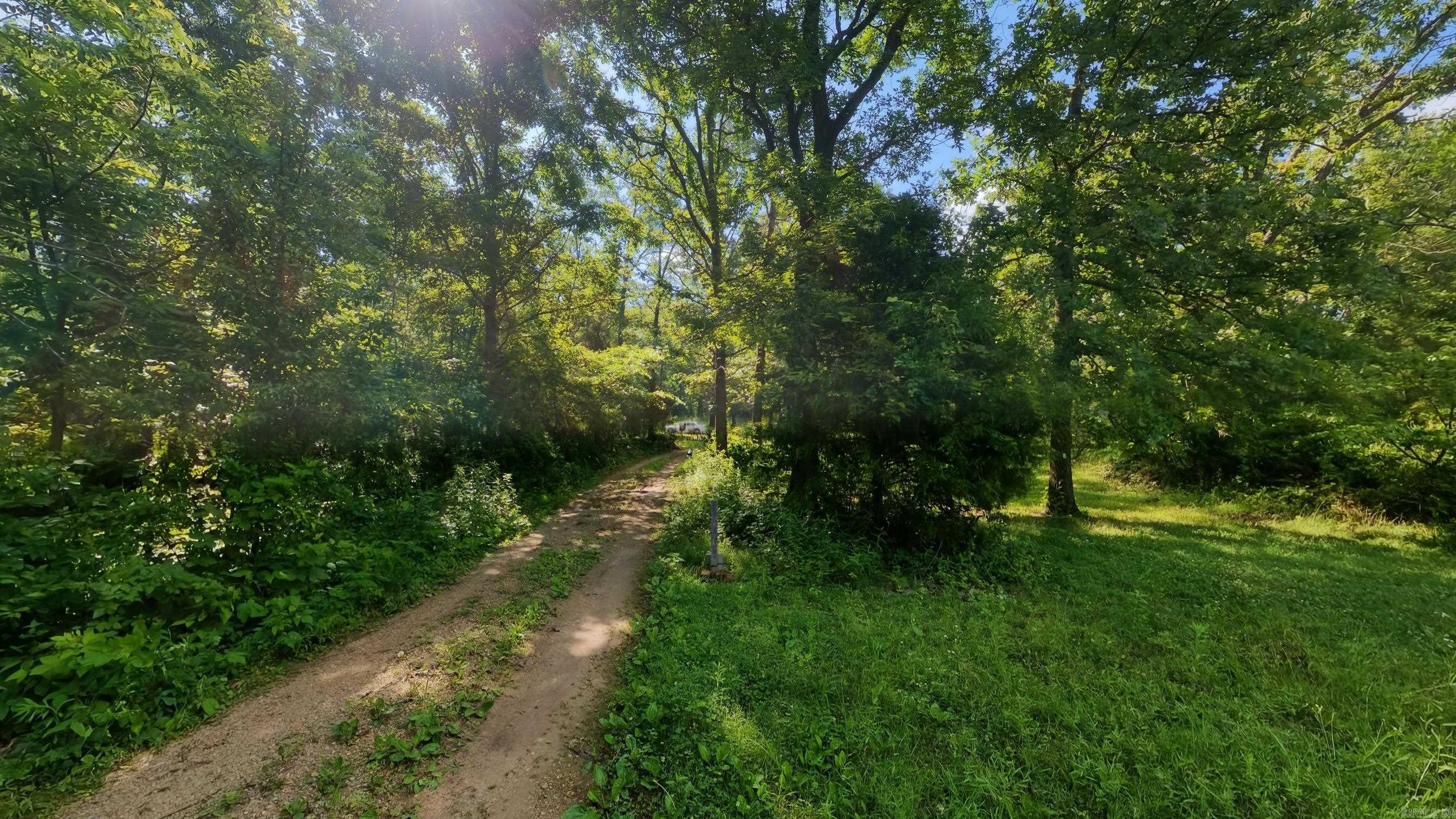 5344 Private Road 5212  Willow Springs, MO
