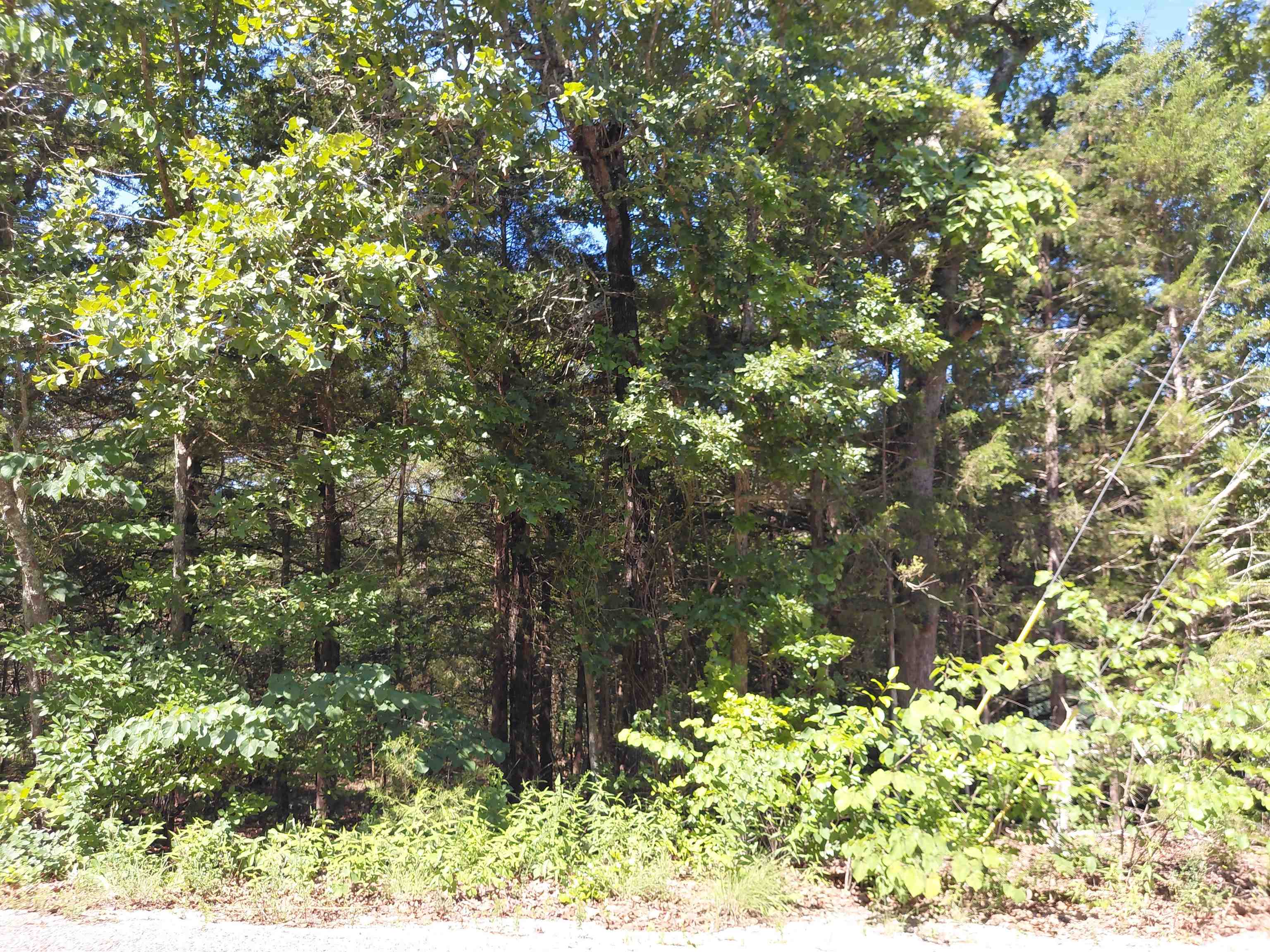  San Ildelfonso  Cherokee Village, AR