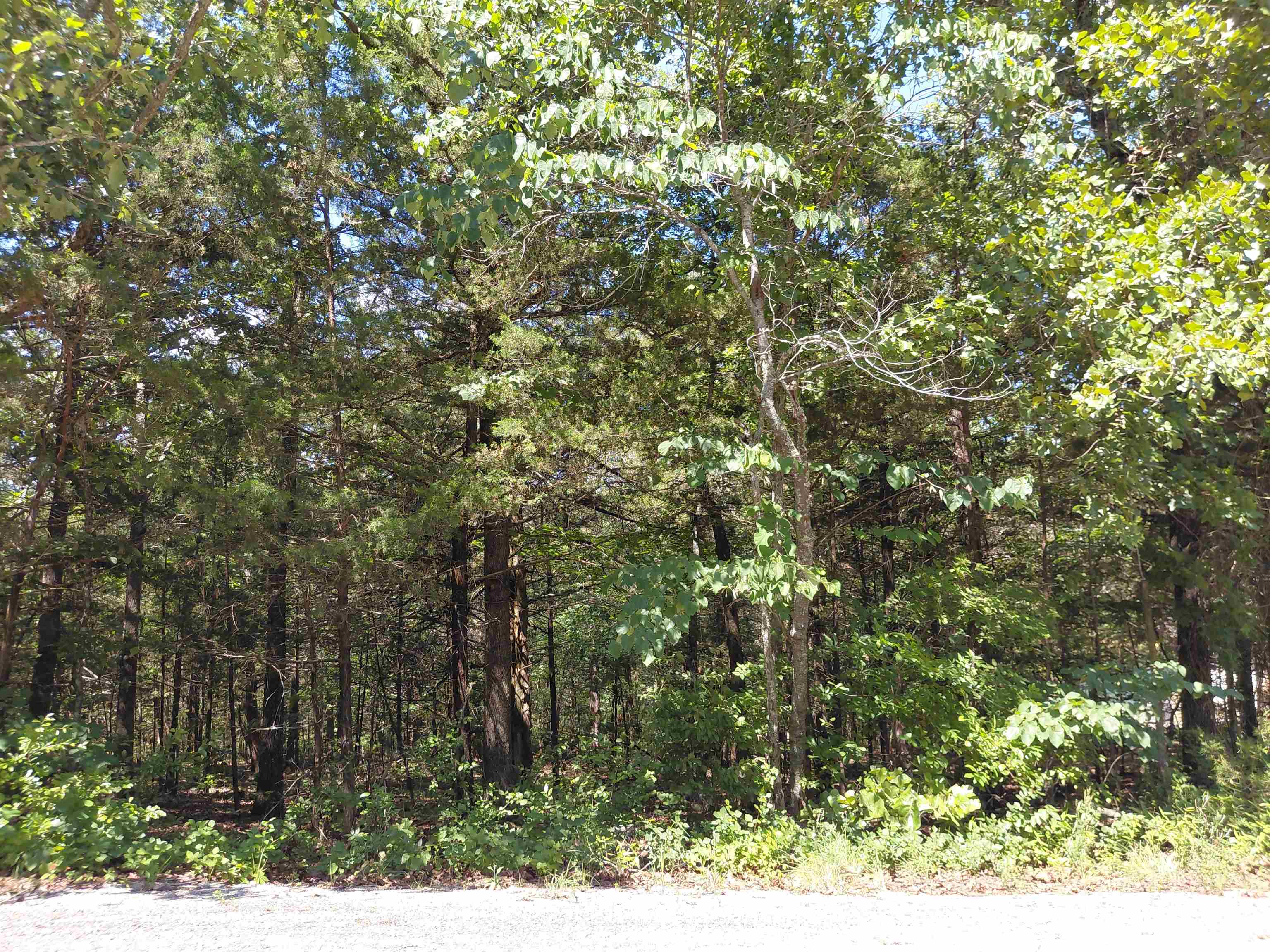  San Ildelfonso  Cherokee Village, AR