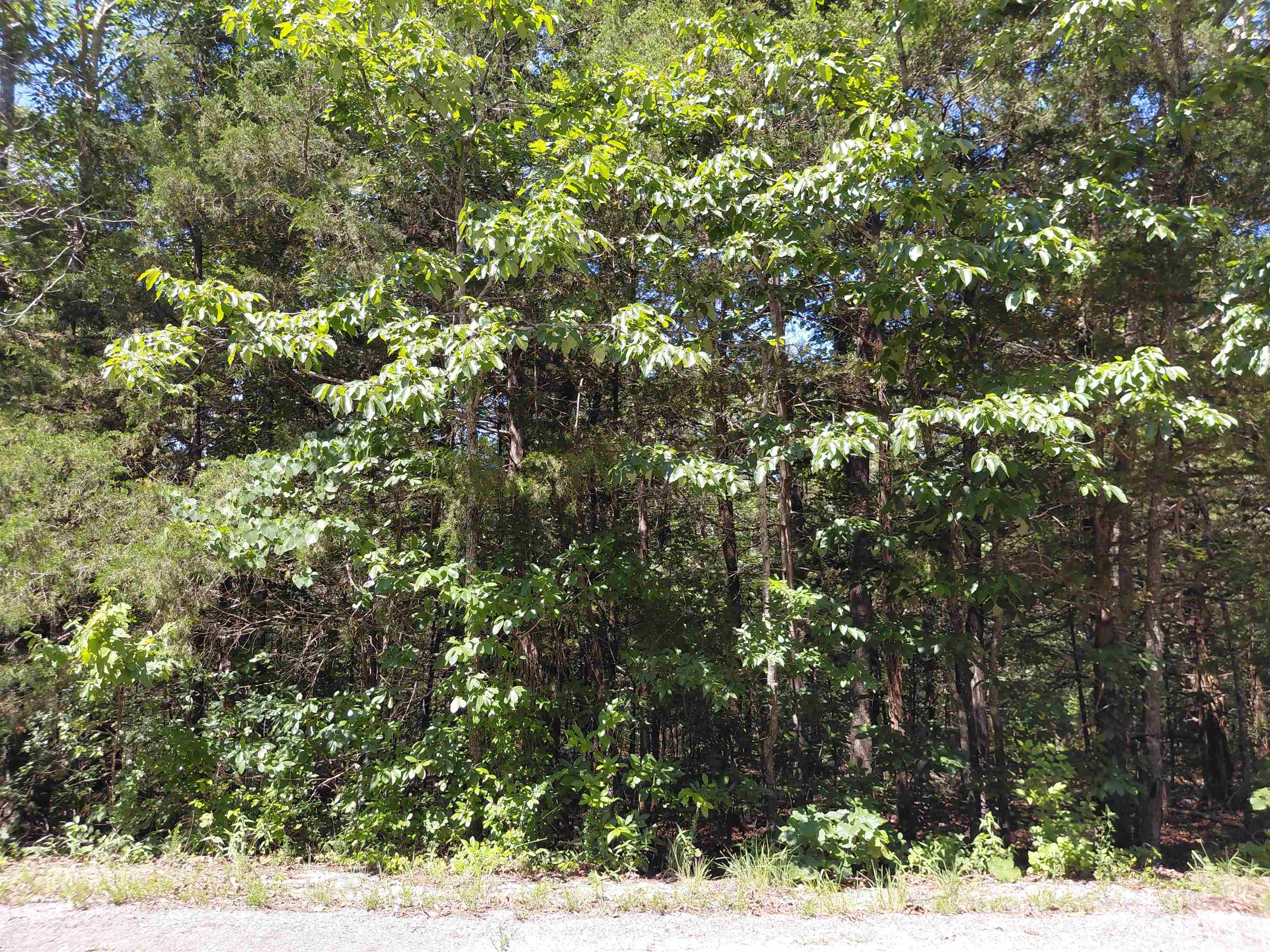  San Ildelfonso  Cherokee Village, AR