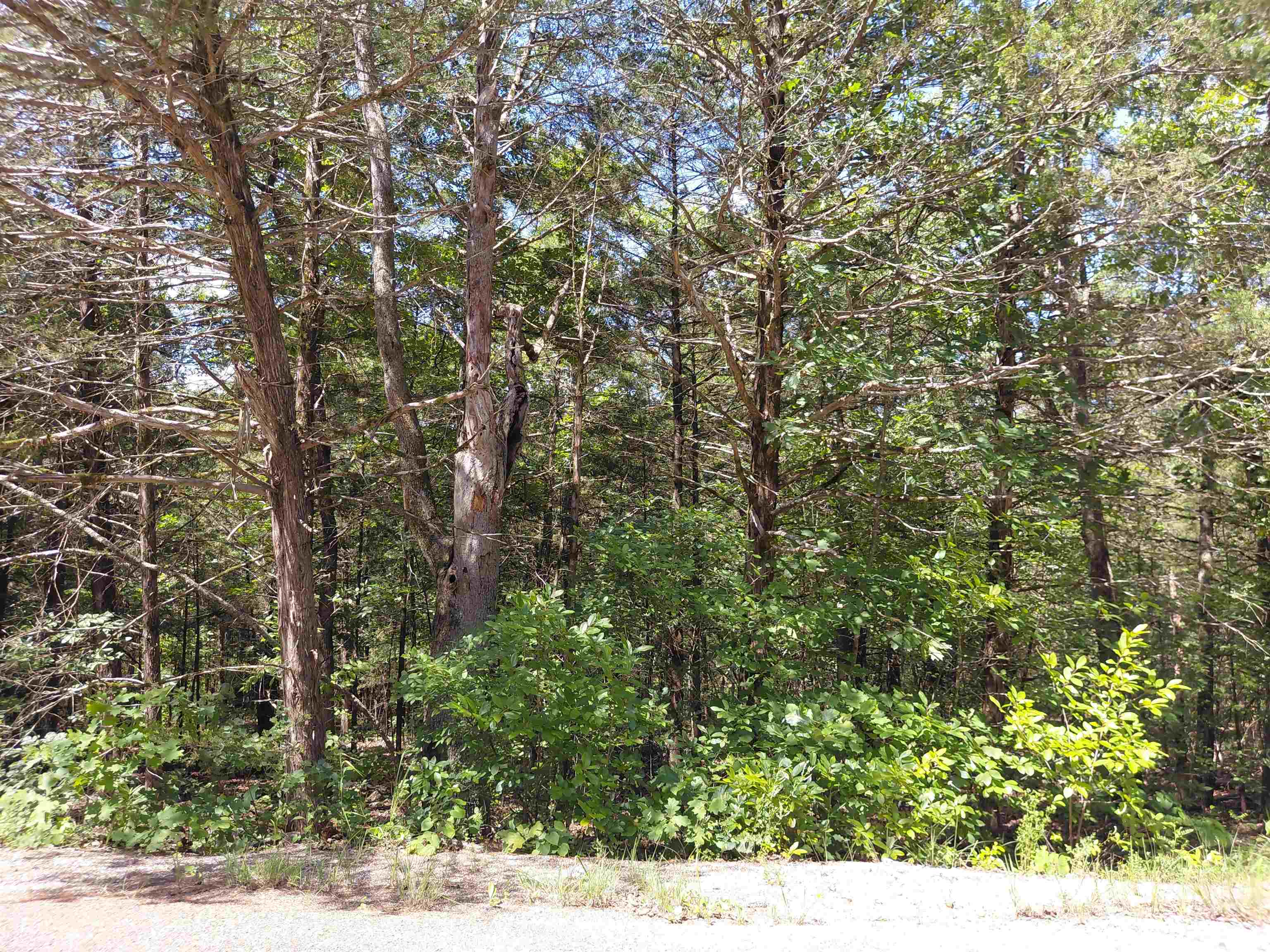  San Ildelfonso  Cherokee Village, AR