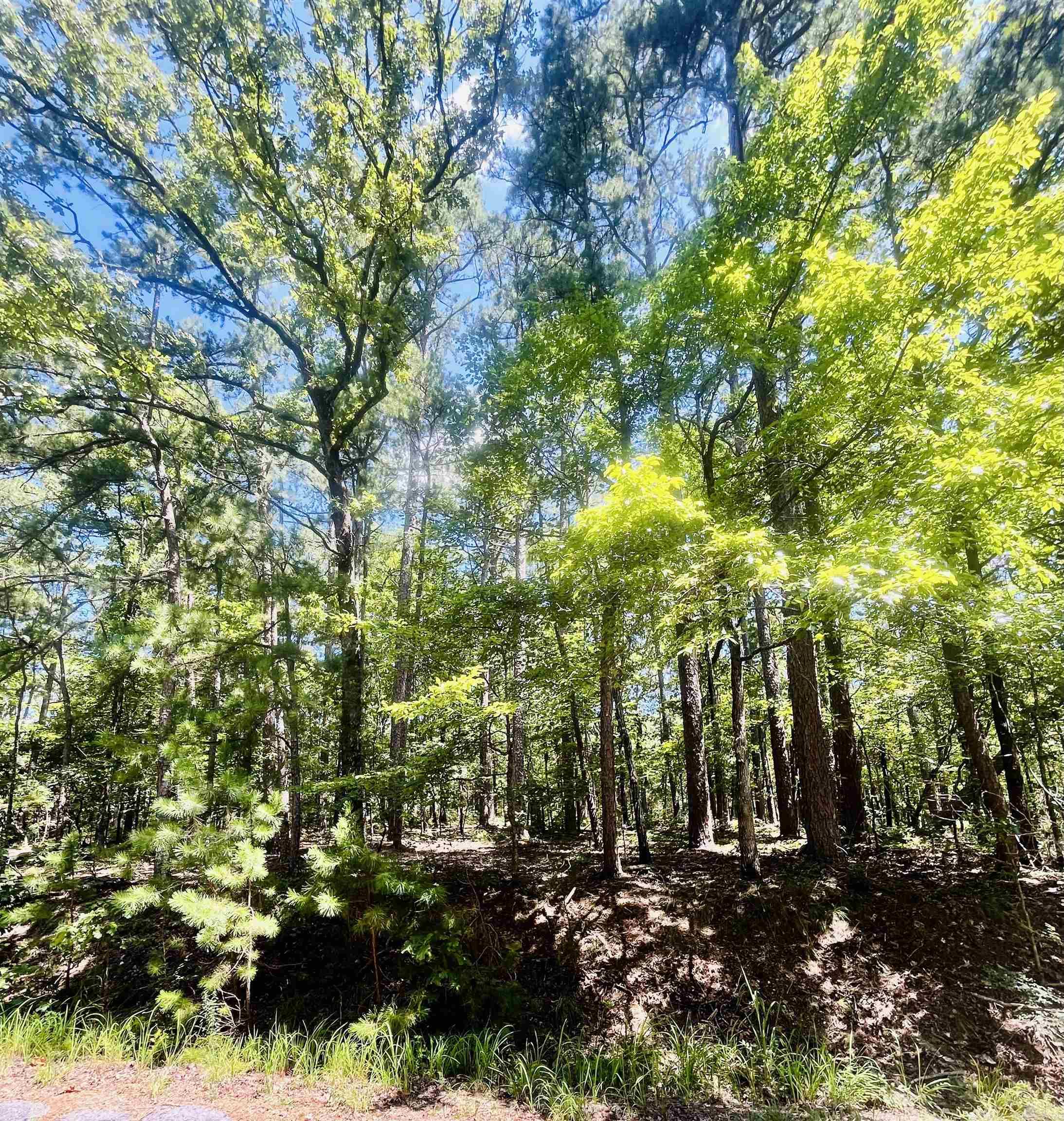 16 Pamplona  Hot Springs Village, AR