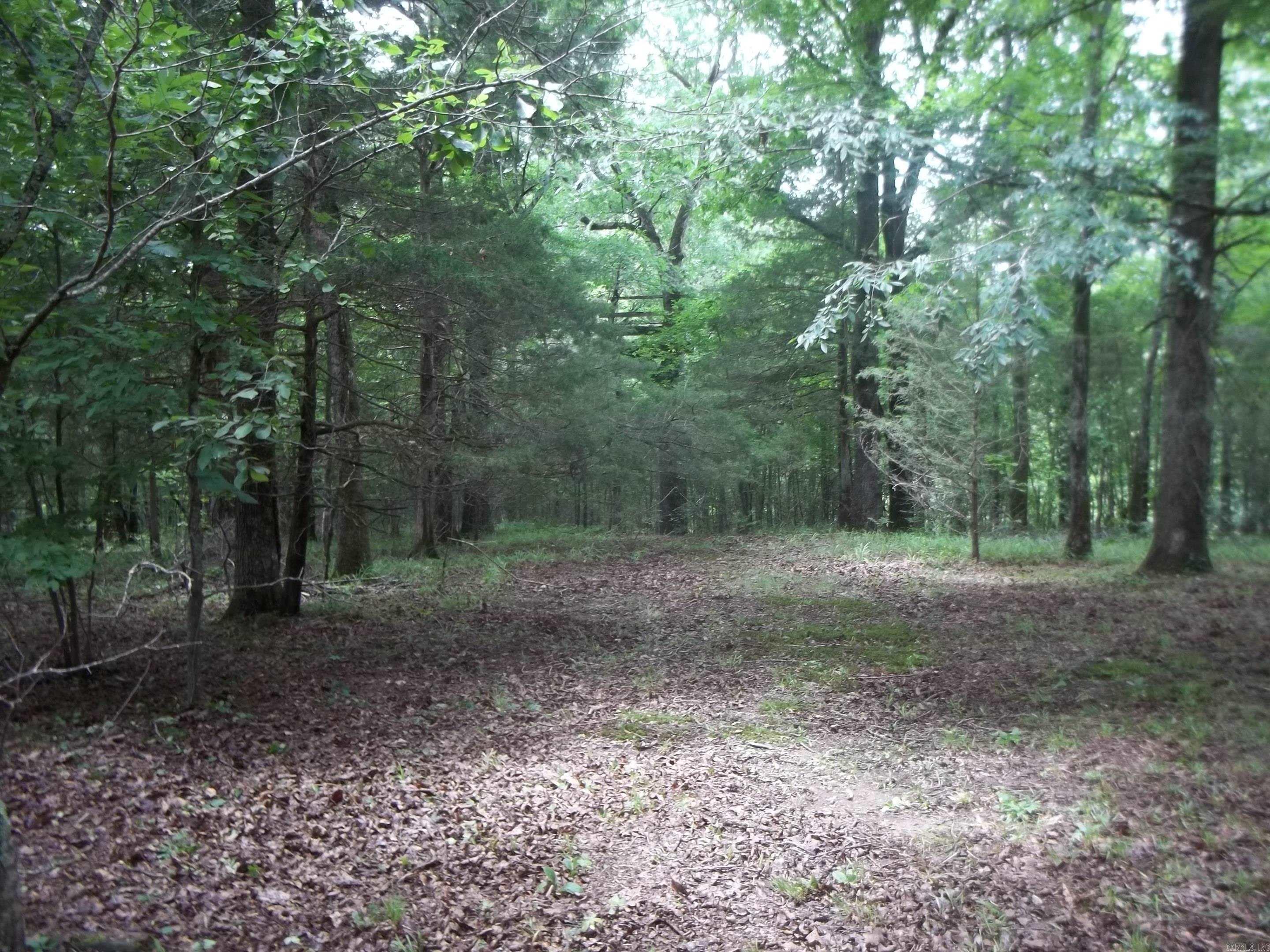 137 Shady Oaks Lane  Mena, AR