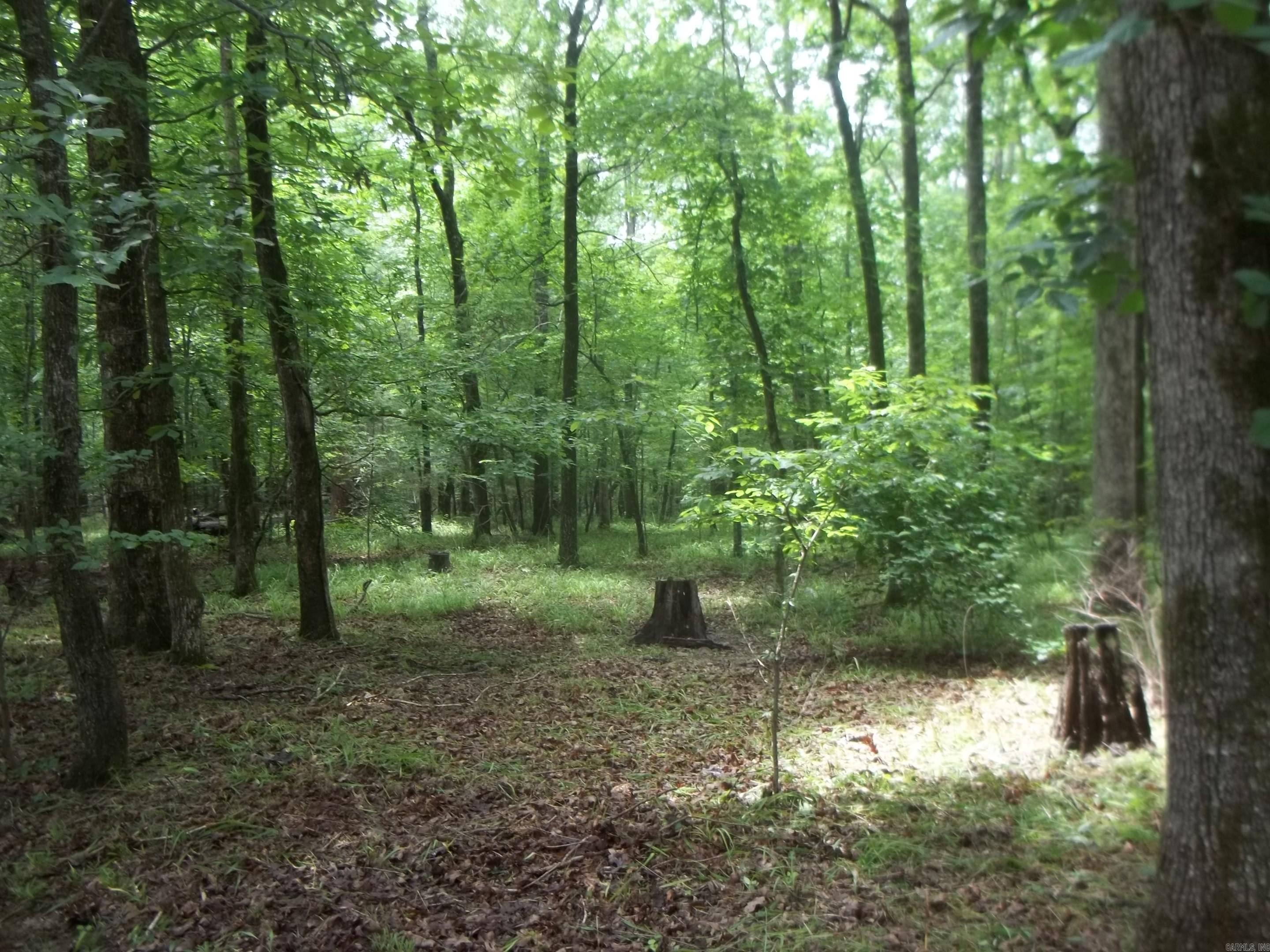 137 Shady Oaks Lane  Mena, AR