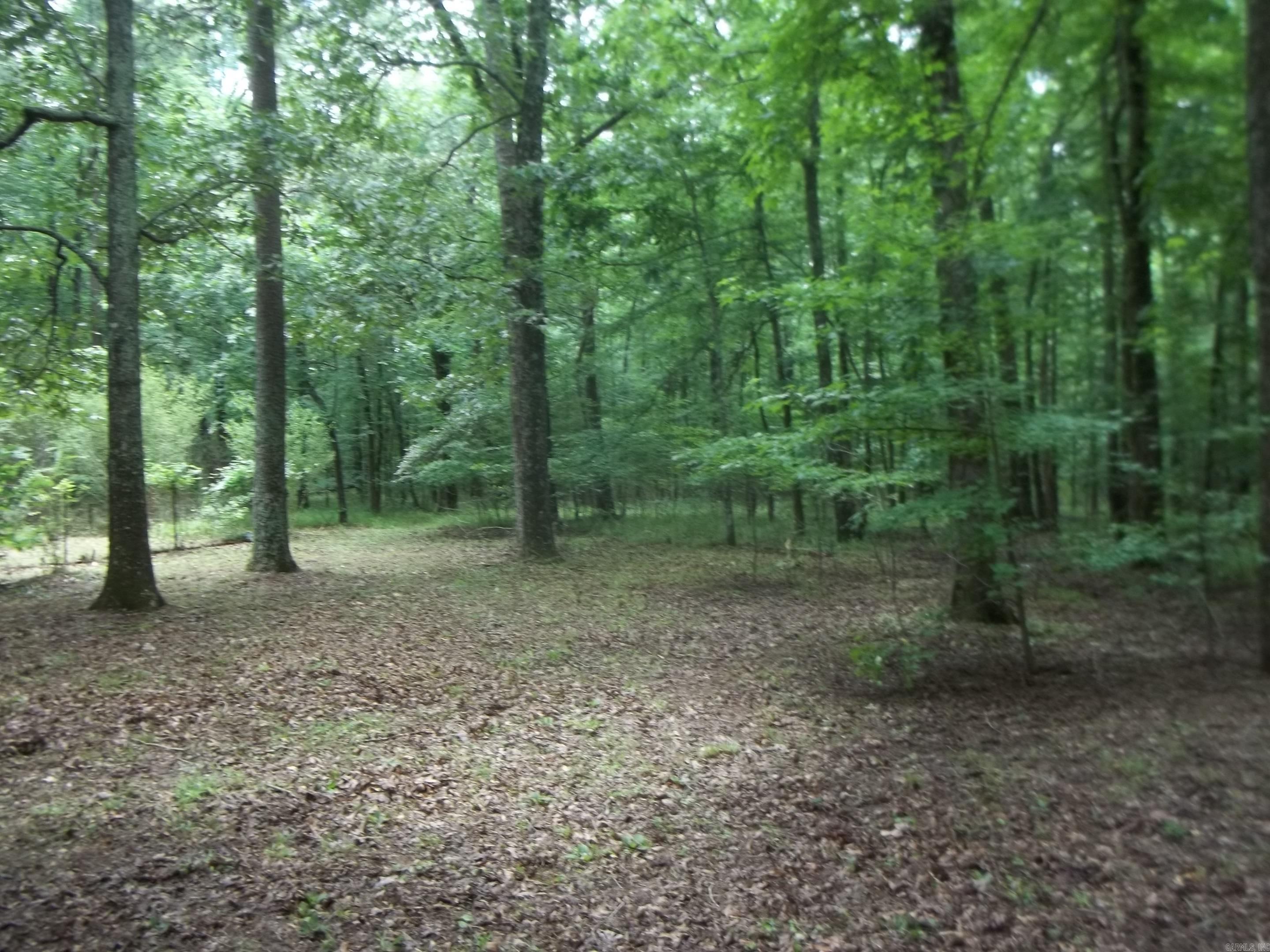 137 Shady Oaks Lane  Mena, AR