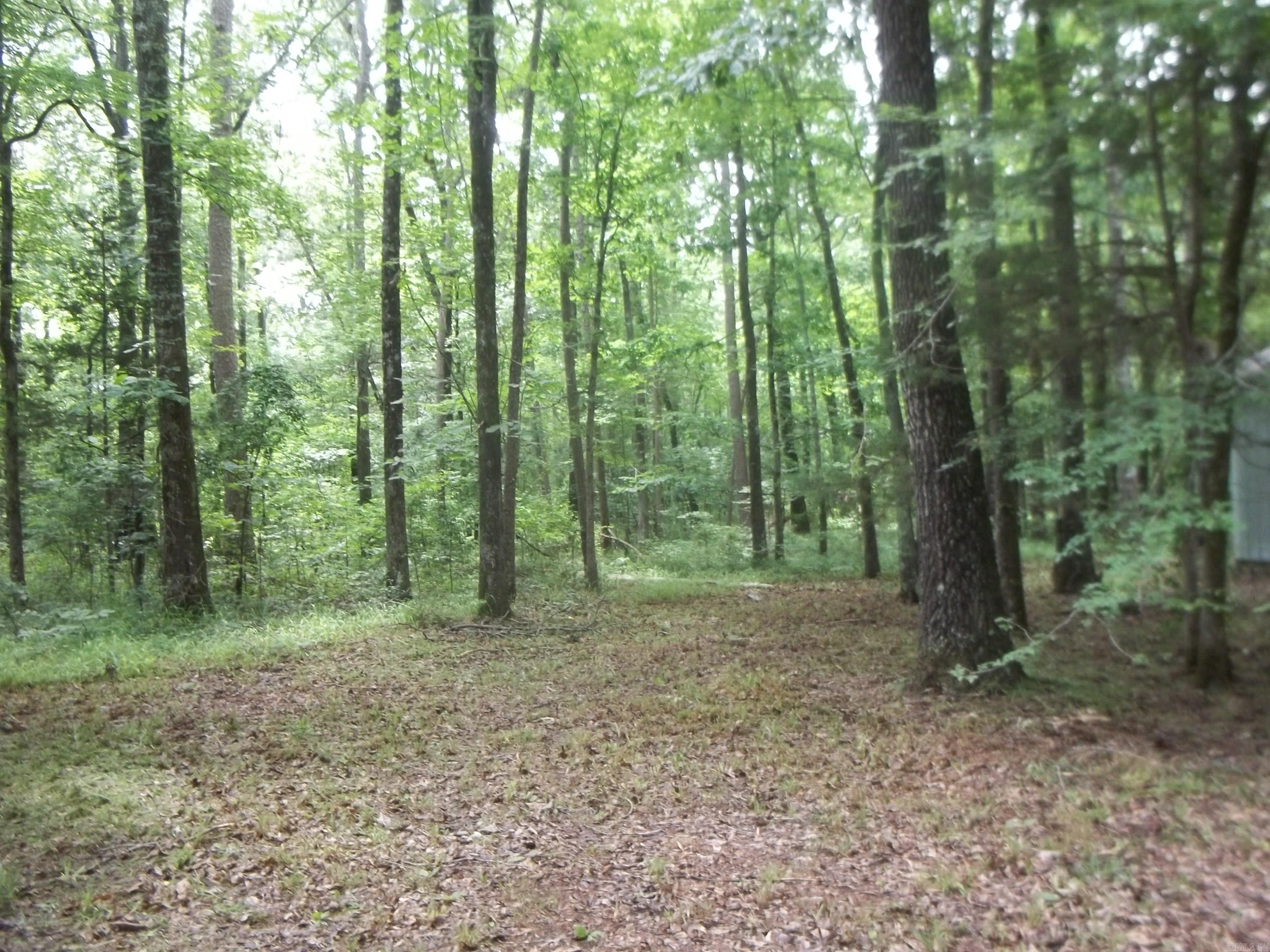 137 Shady Oaks Lane  Mena, AR