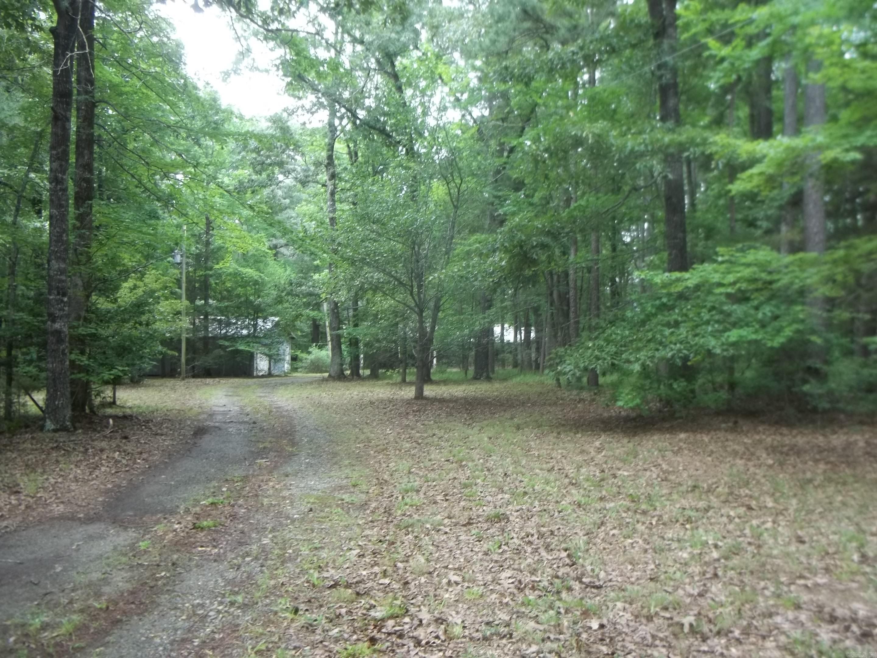 137 Shady Oaks Lane  Mena, AR