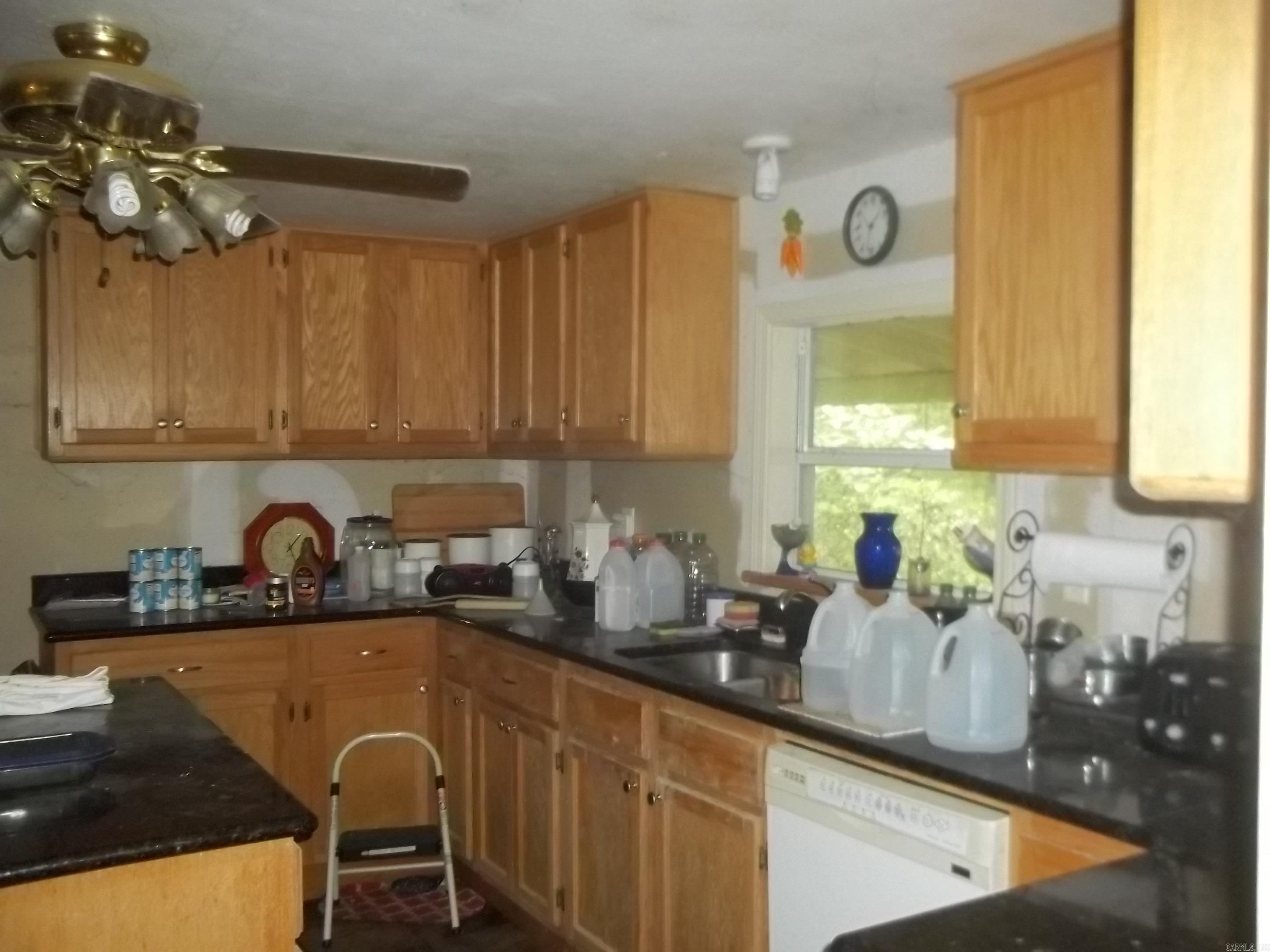 137 Shady Oaks Lane  Mena, AR