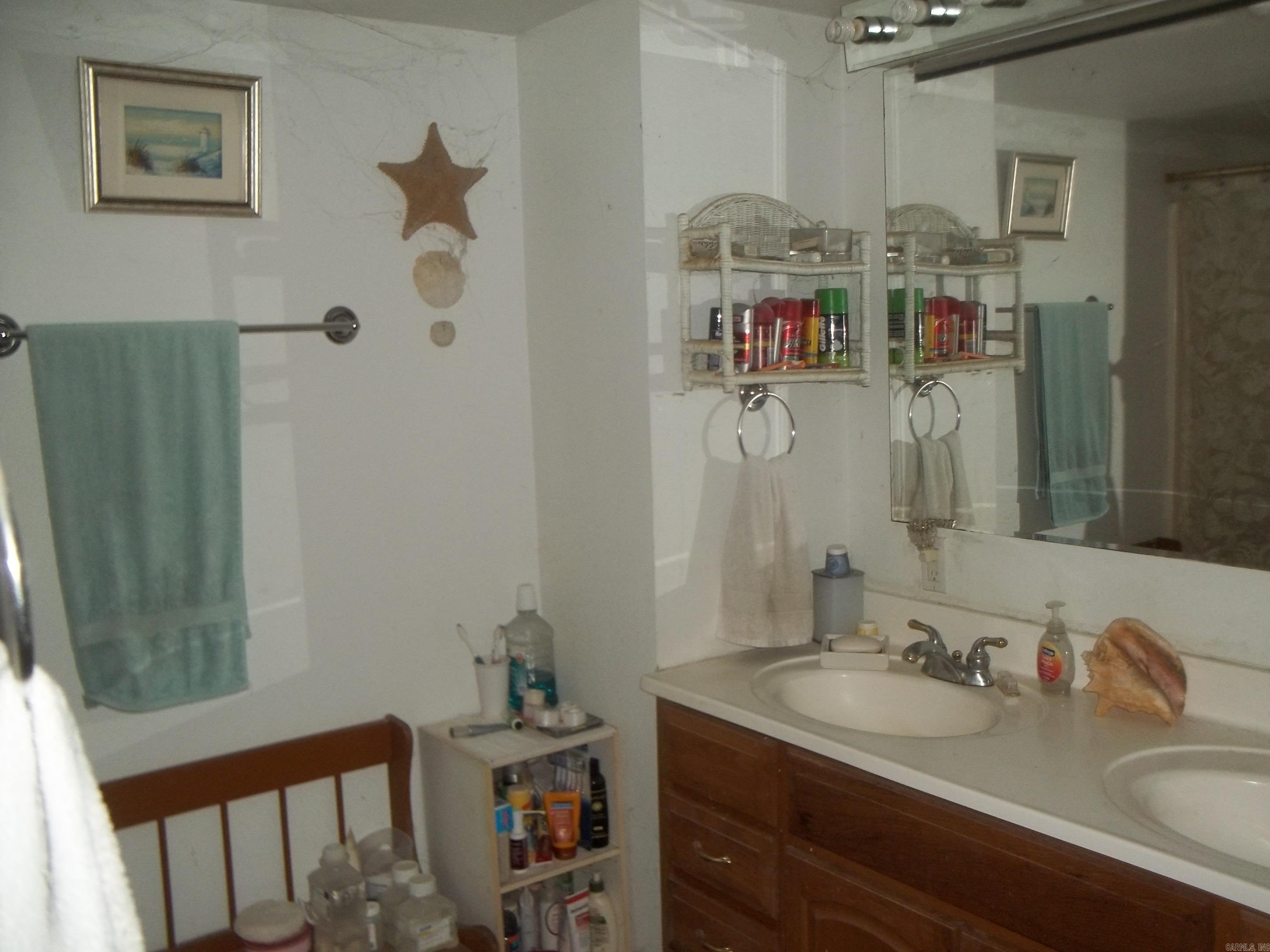 137 Shady Oaks Lane  Mena, AR