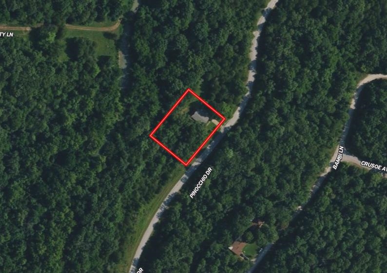 203 S Pinocchio Horseshoe Bend, AR 72512