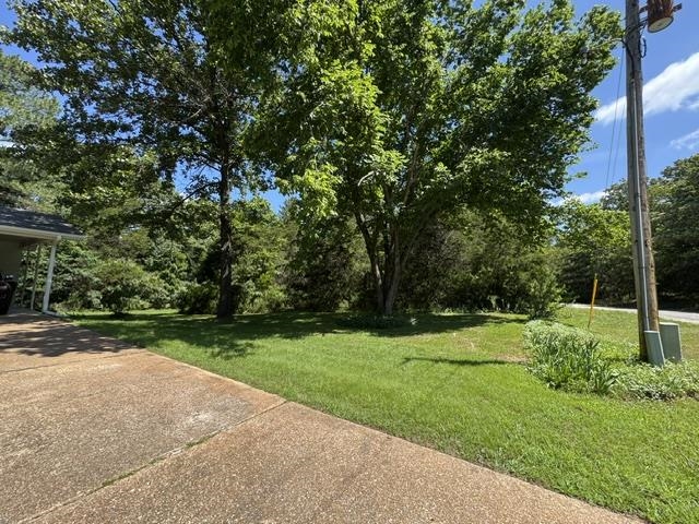 203 S Pinocchio  Horseshoe Bend, AR