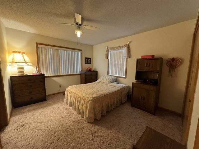 203 S Pinocchio  Horseshoe Bend, AR