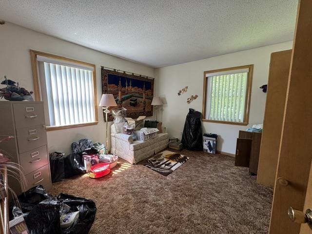 203 S Pinocchio  Horseshoe Bend, AR
