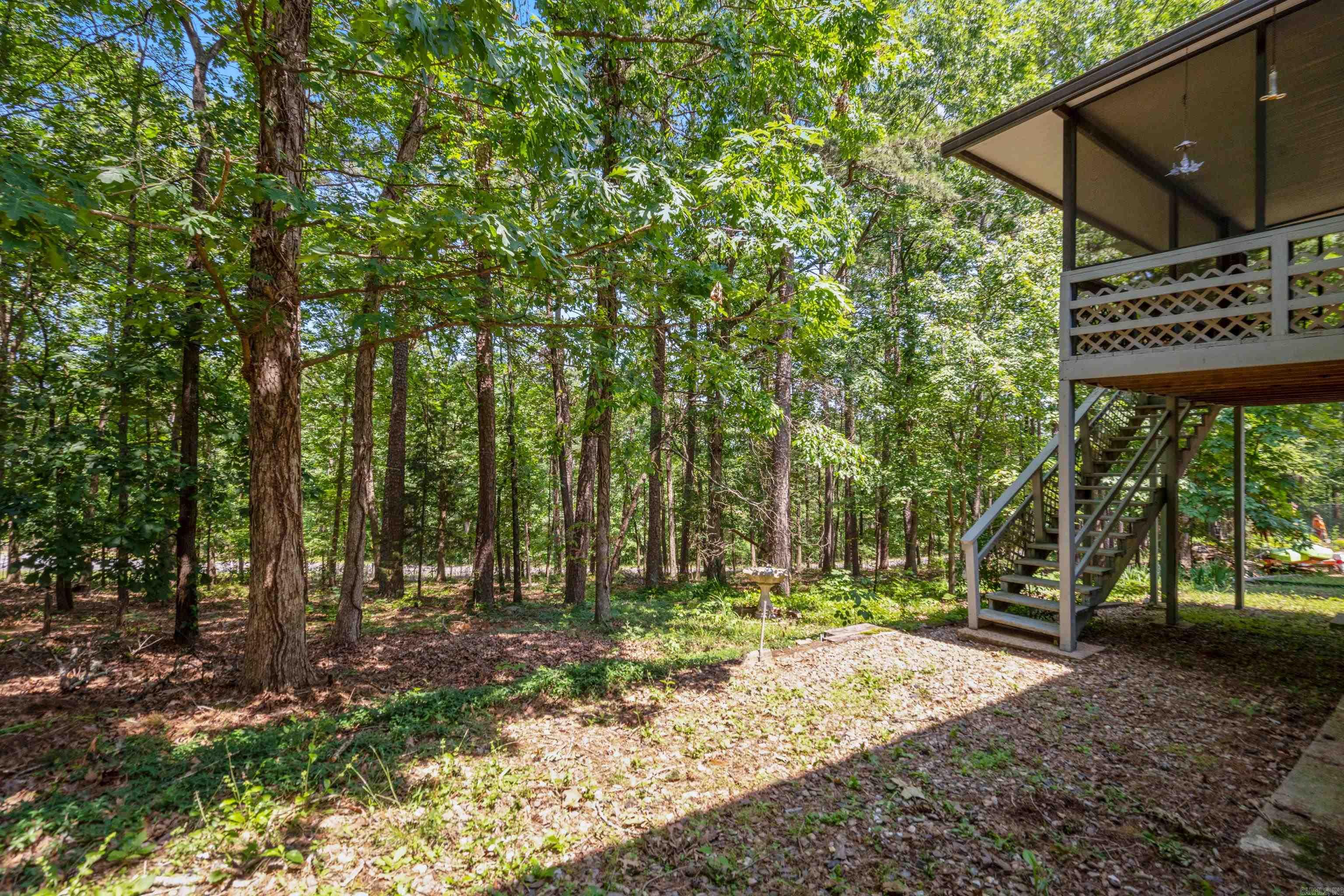 10 Balenciaga  Hot Springs Village, AR