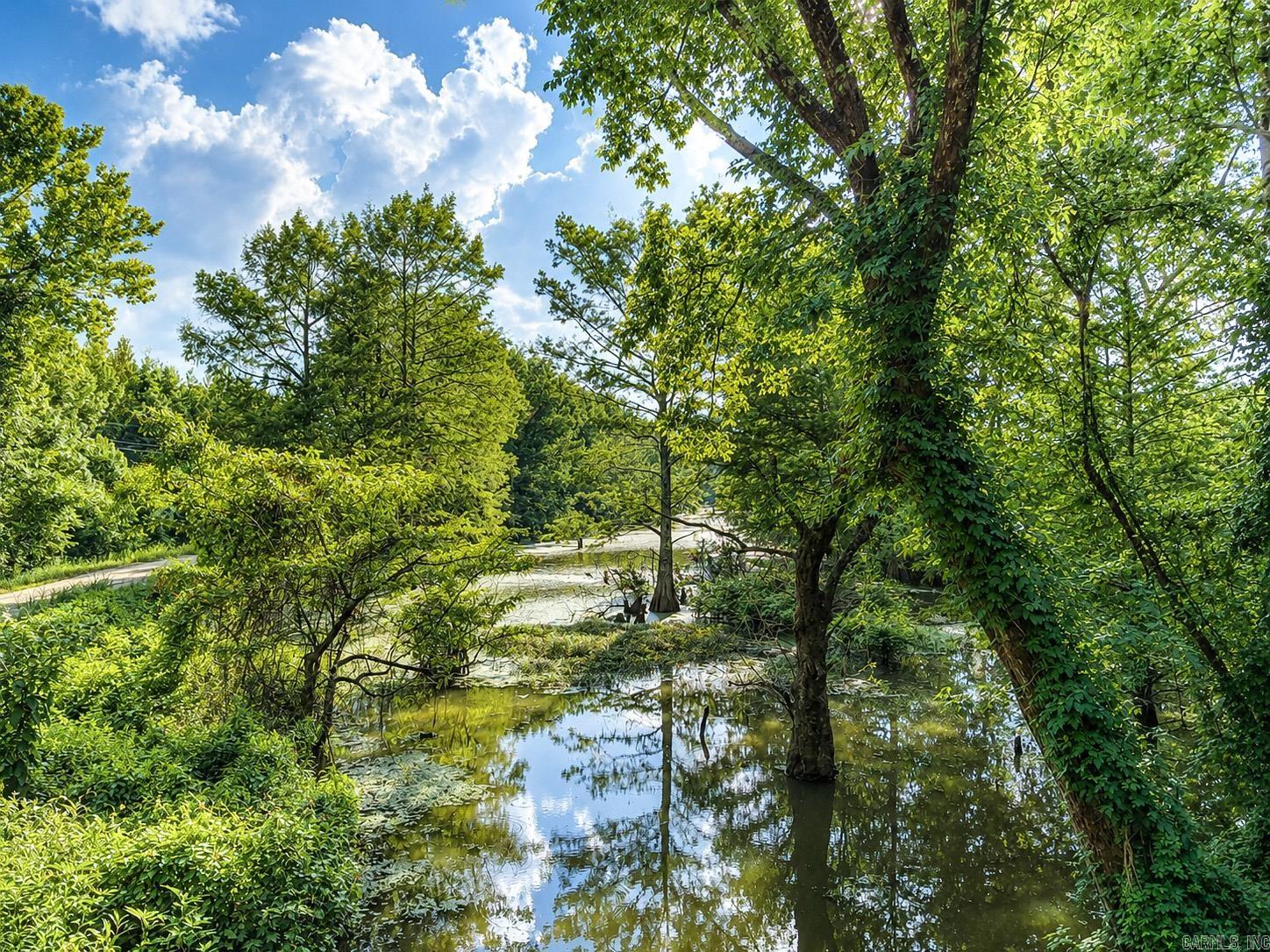 2520 Deep Bayou  Pine Bluff, AR