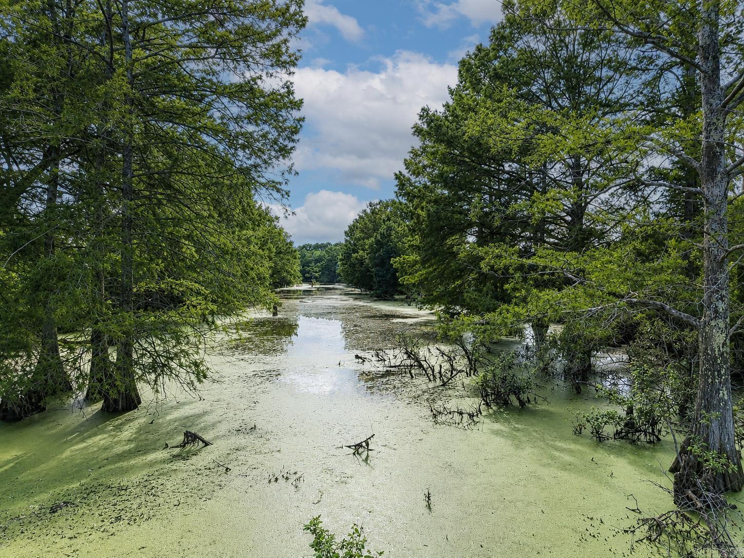 2520 Deep Bayou  Pine Bluff, AR