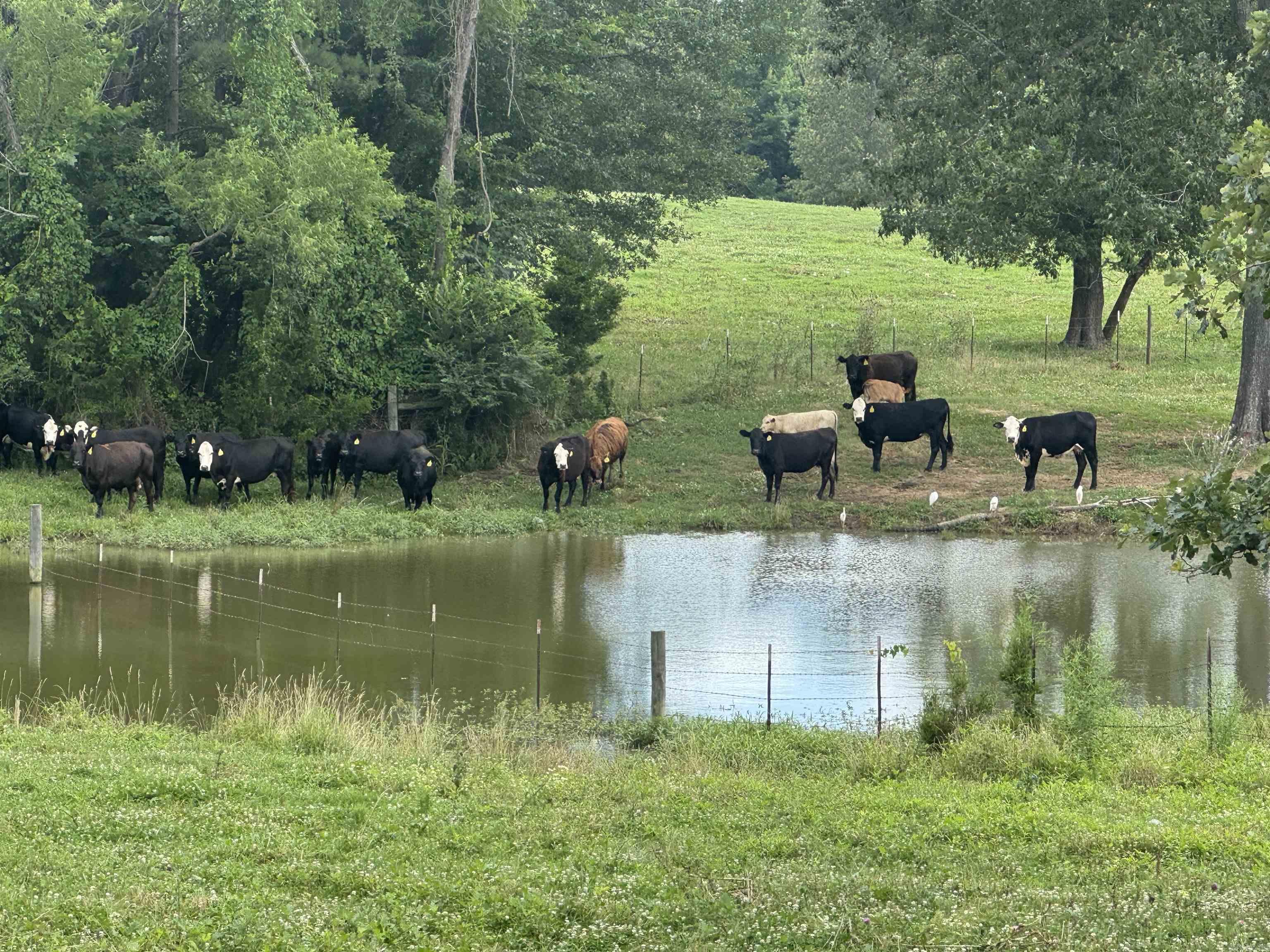 100 Acres Wynn  Dierks, AR