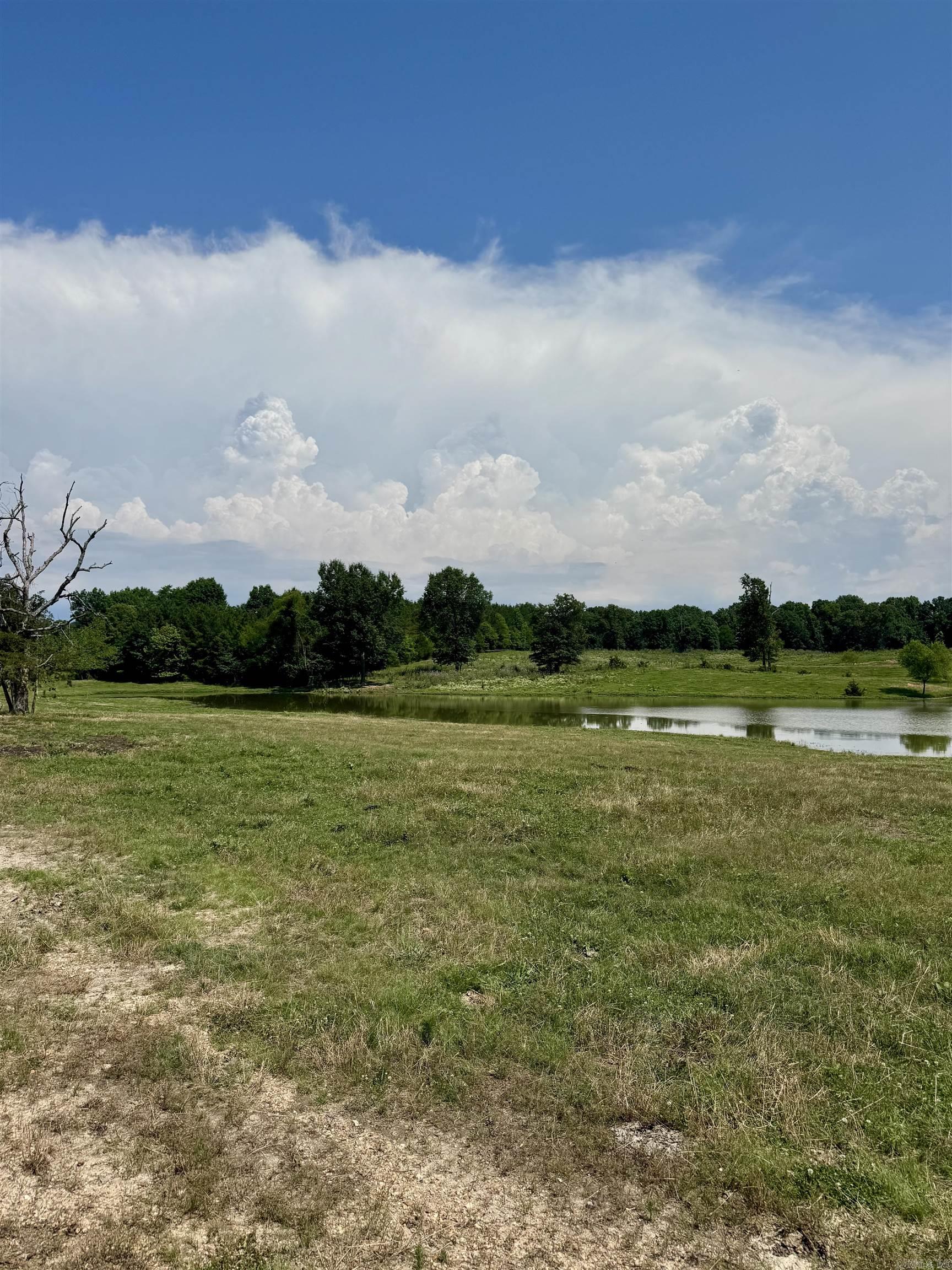 100 Acres Wynn  Dierks, AR