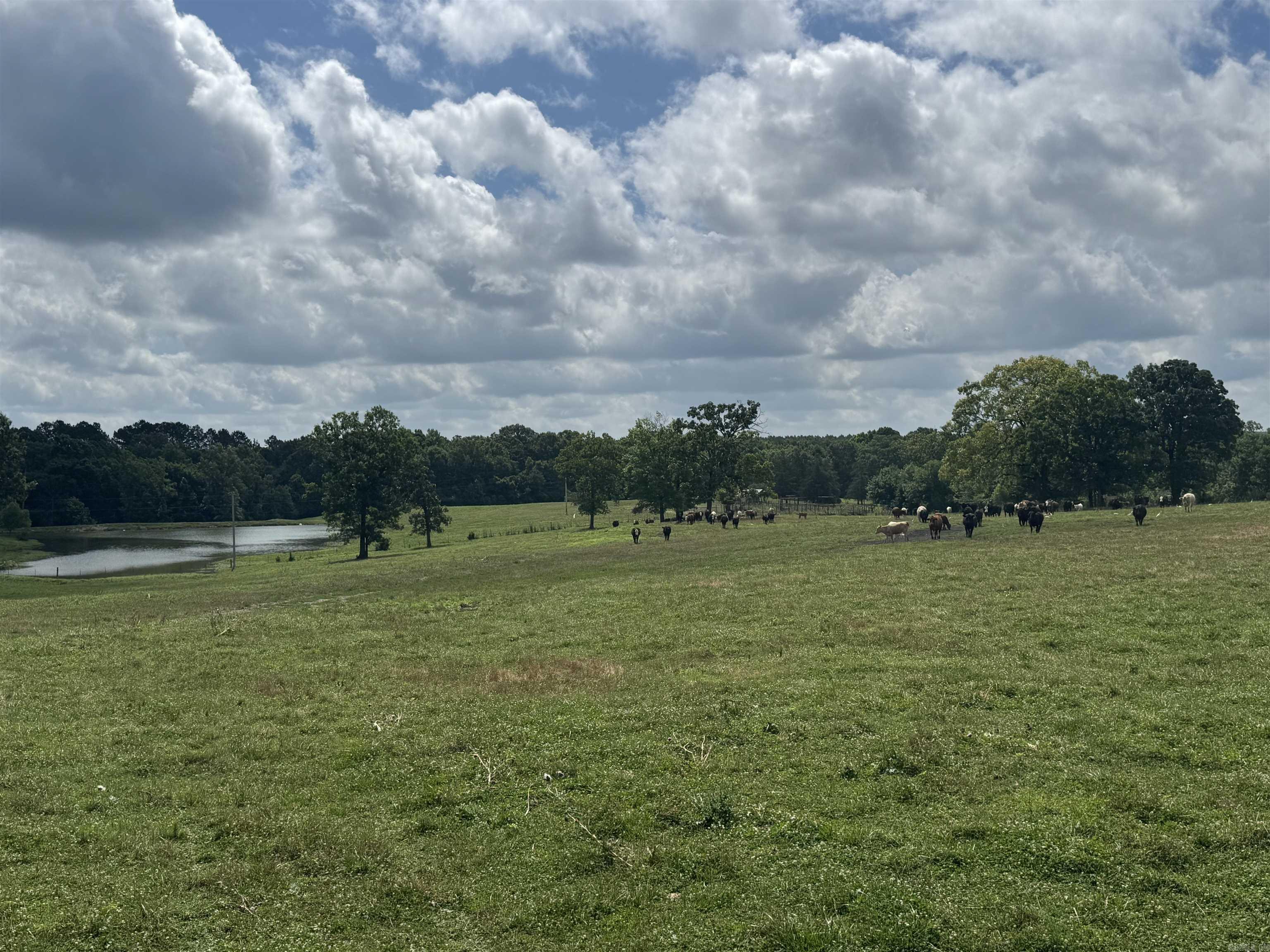 100 Acres Wynn  Dierks, AR