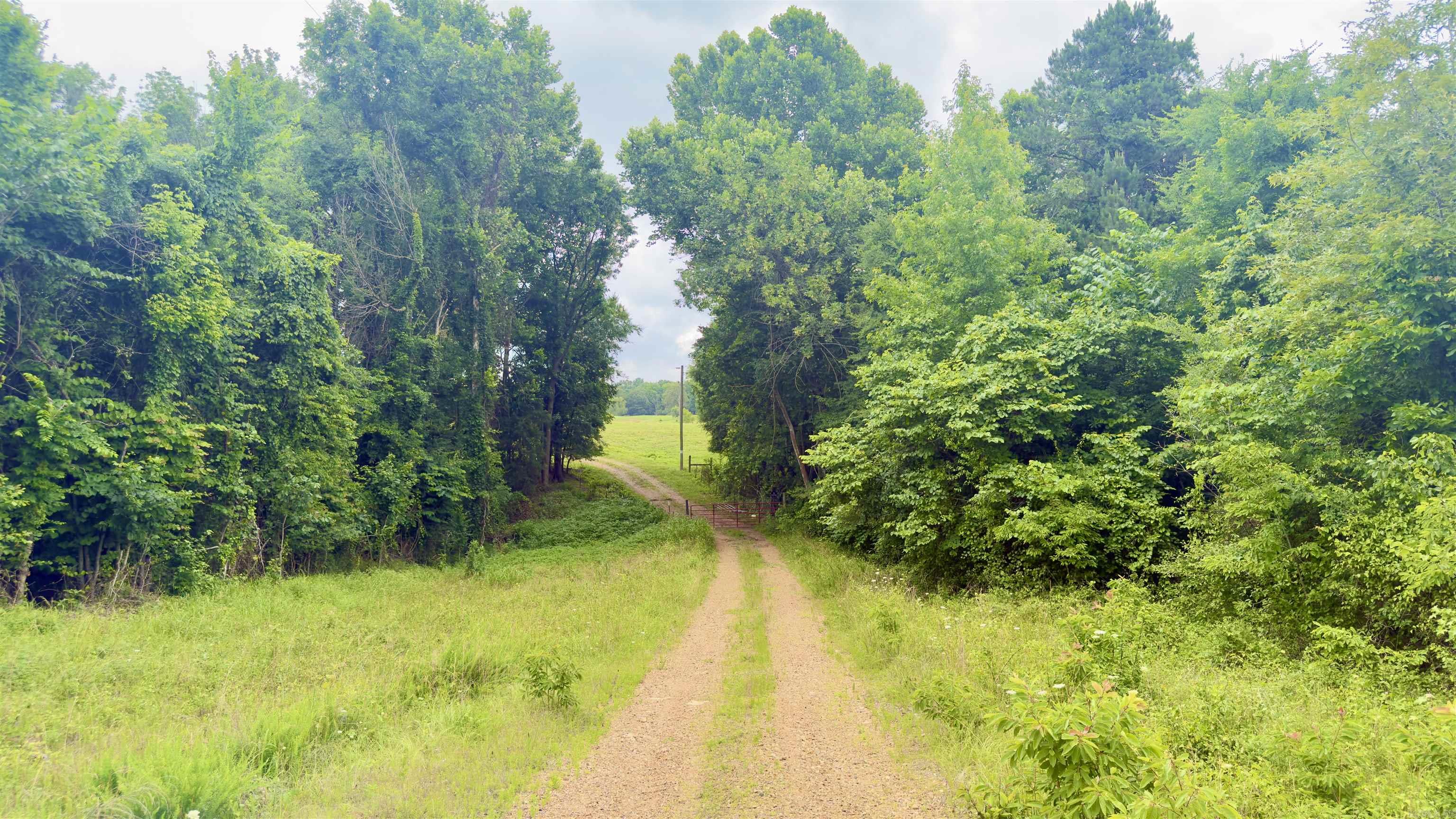 100 Acres Wynn  Dierks, AR