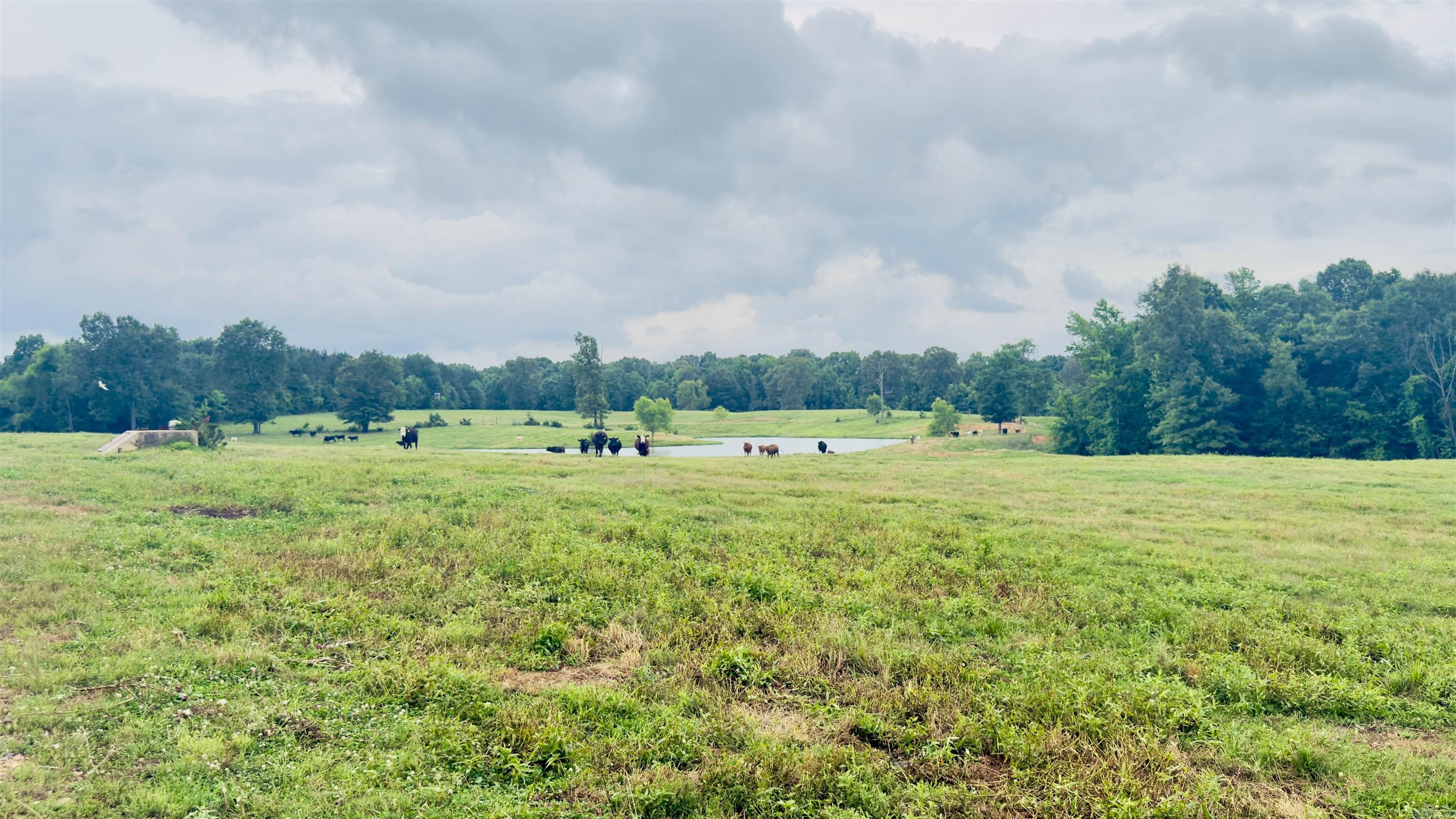100 Acres Wynn  Dierks, AR
