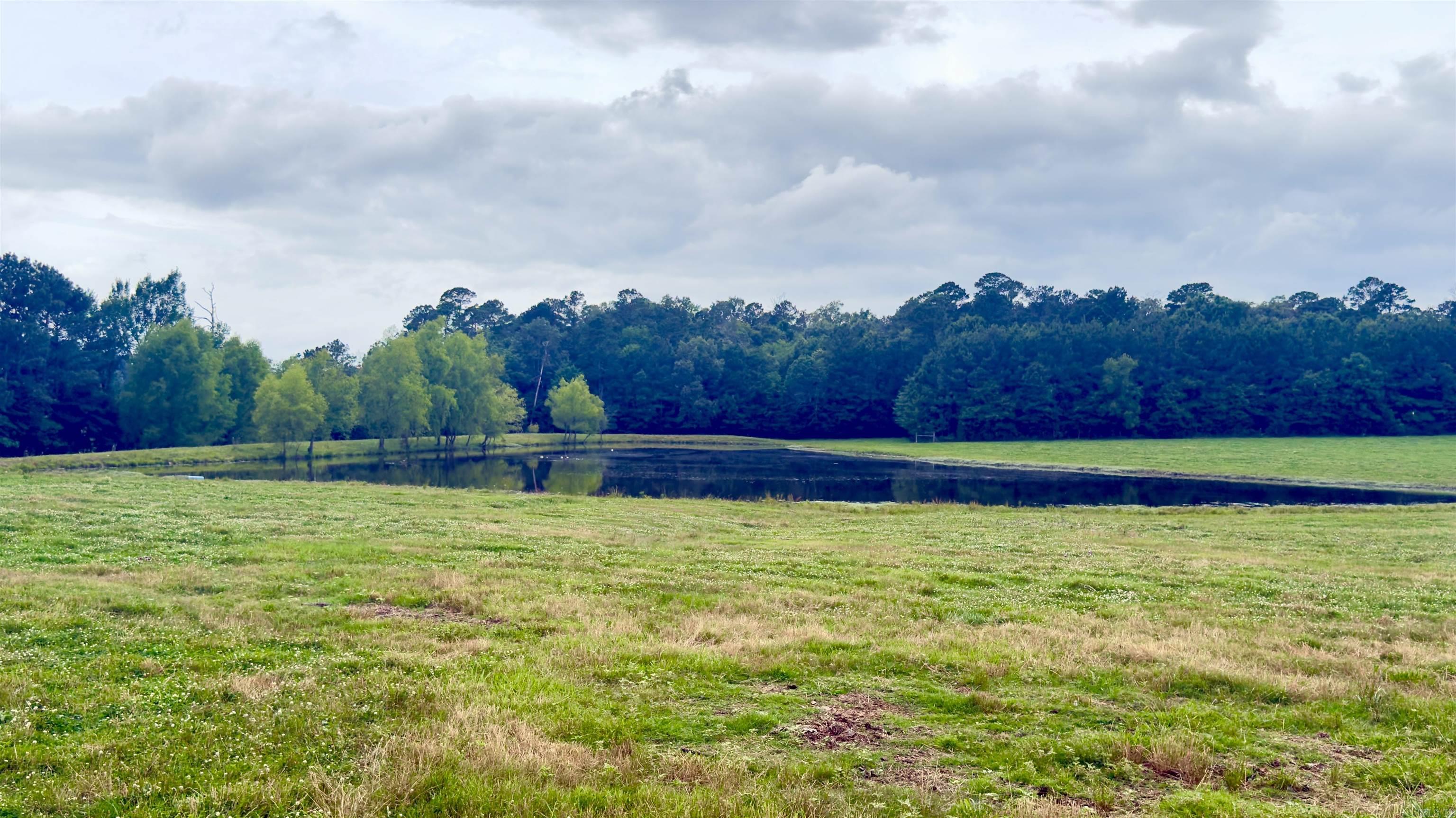 100 Acres Wynn  Dierks, AR