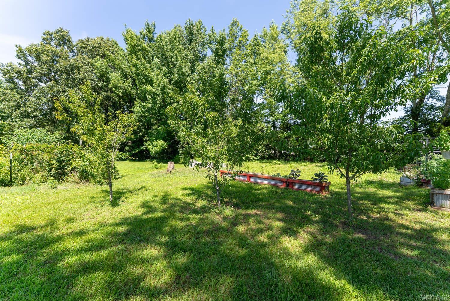 10239 State Highway 25  Dexter, MO